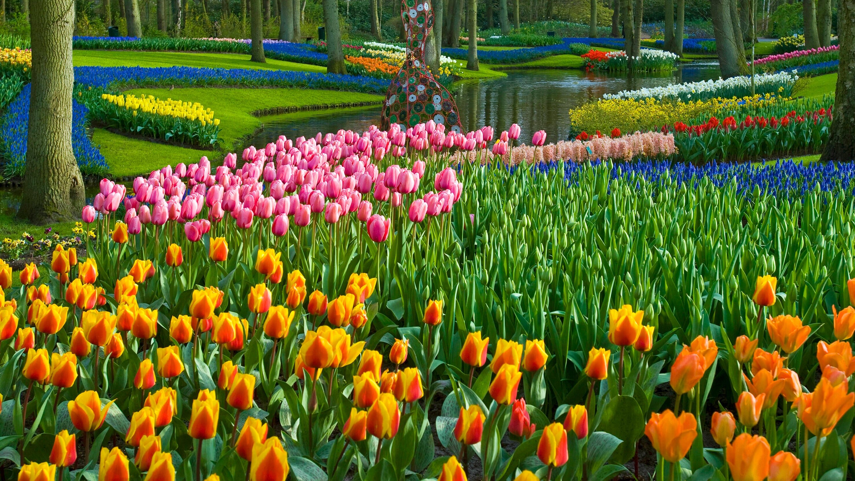 Romantisches Holland – Zwischen Tulpenpracht und Königskrone
