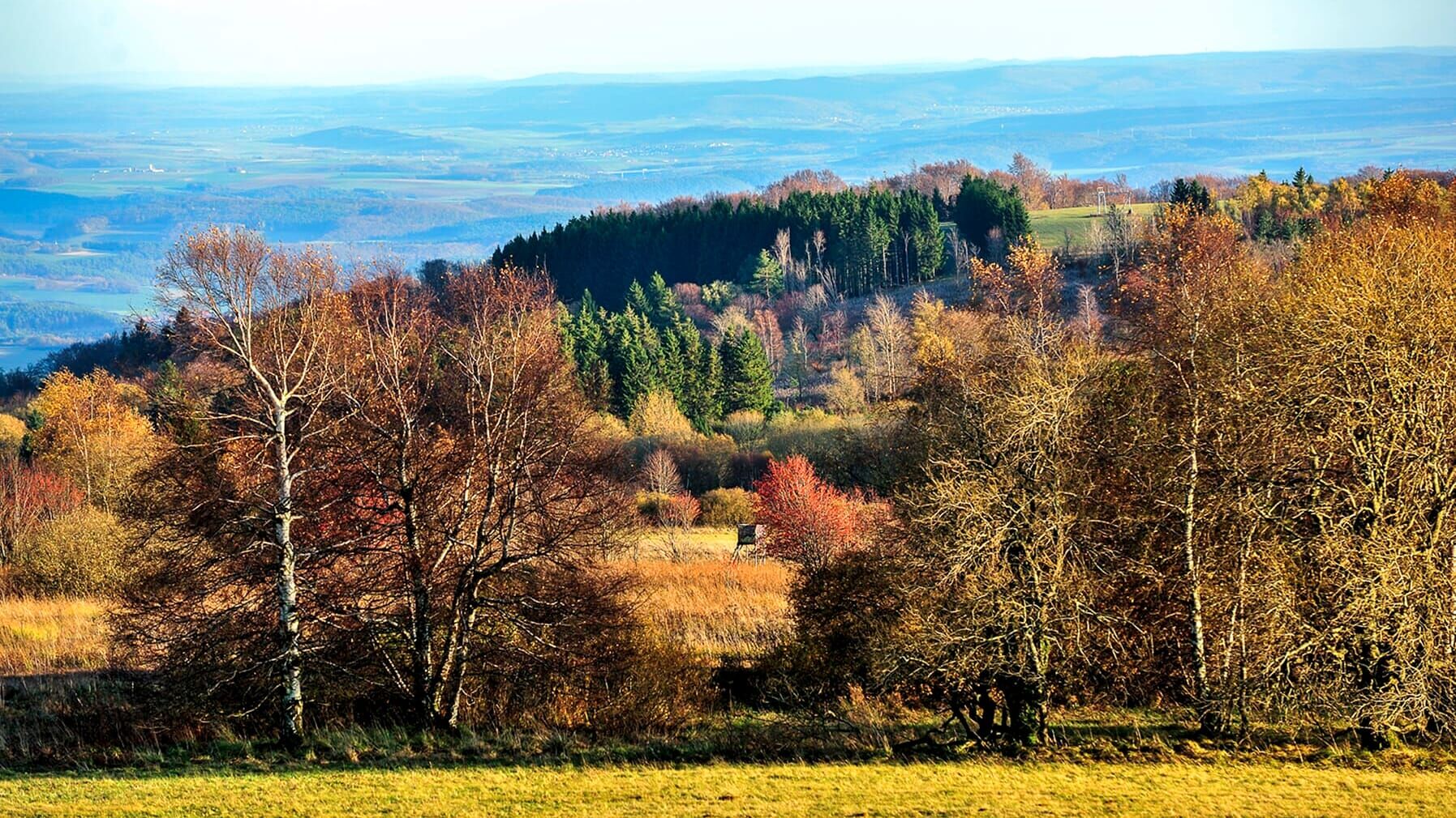 Wildes Deutschland