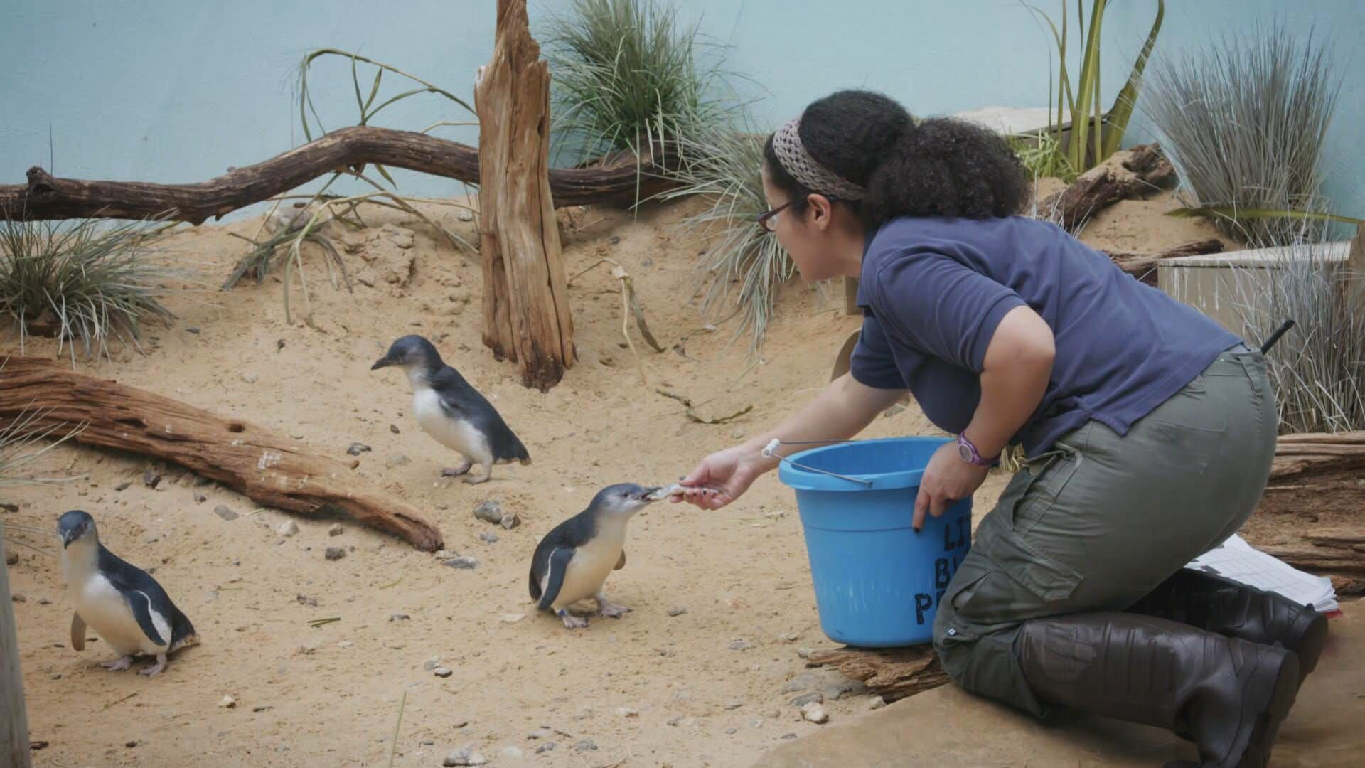Bronx Zoo – Tierpark der Superlative