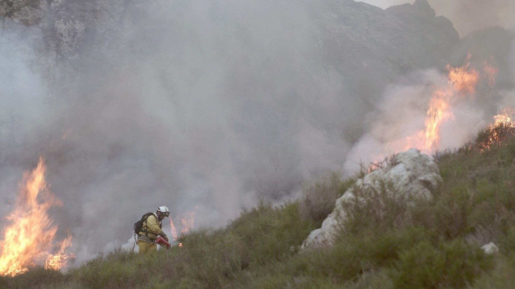 Geliebtes Korsika: Kampf gegen das Feuer