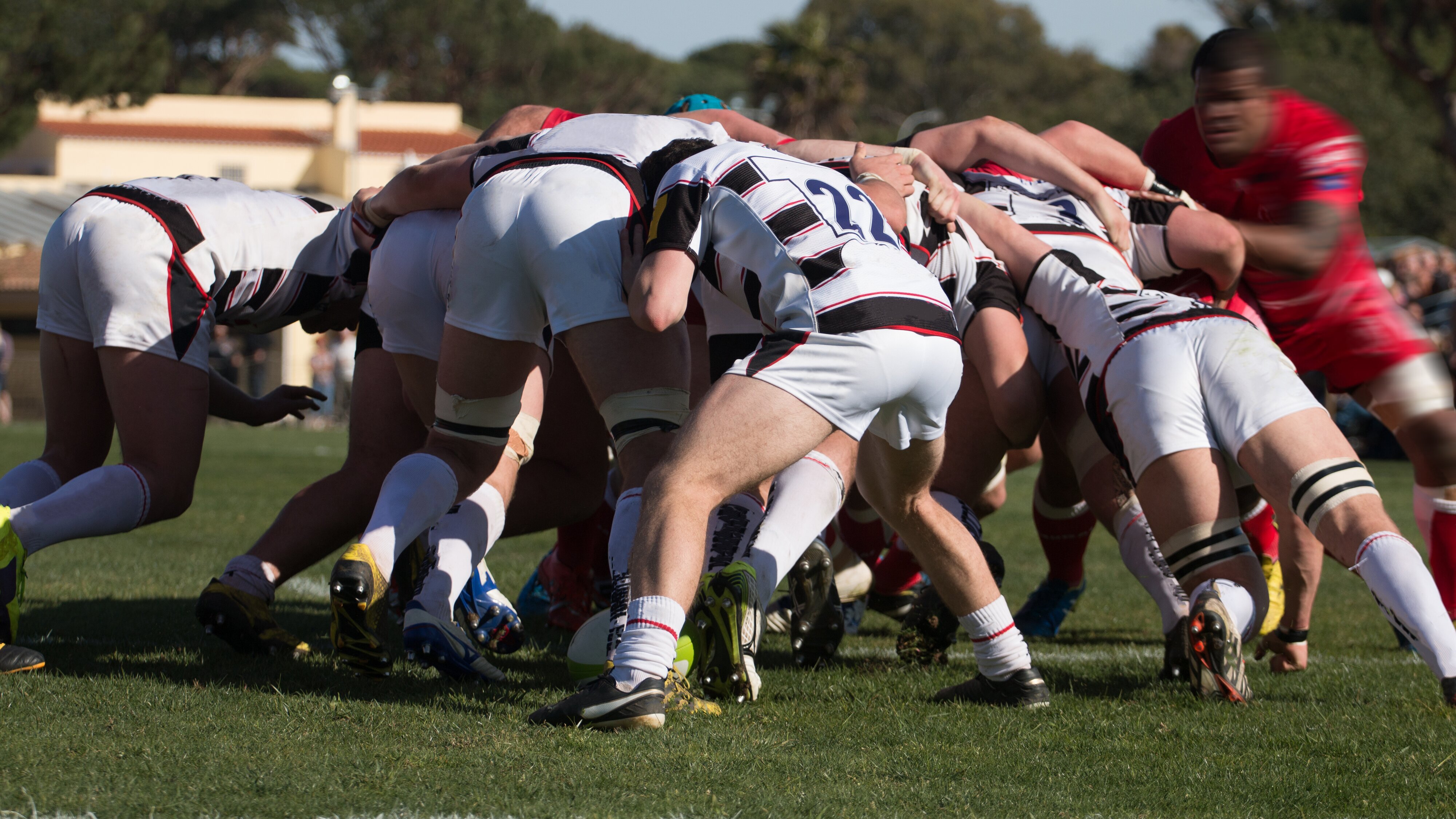 ran Rugby: Lions Tour