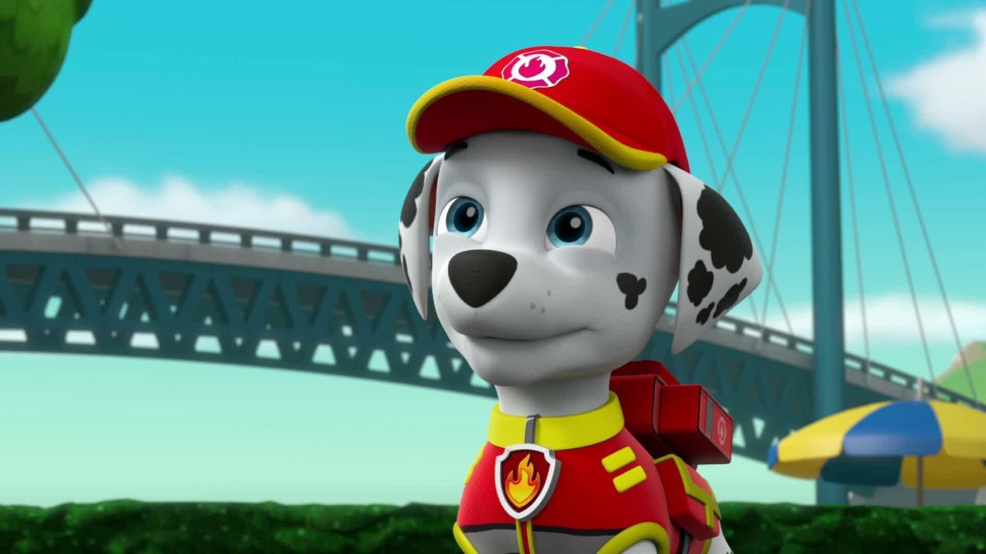 Paw Patrol – Helfer auf vier Pfoten