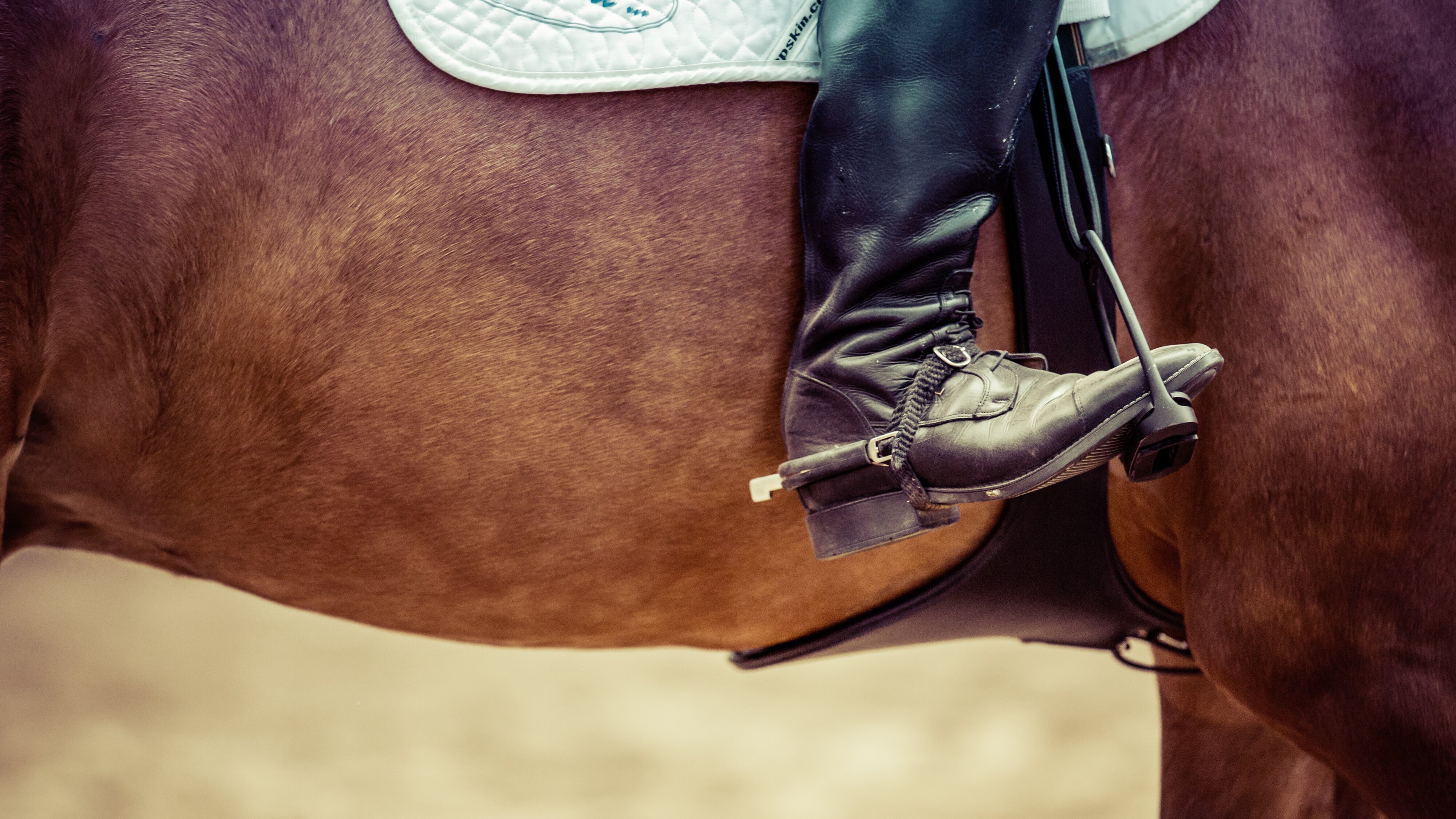 Springreiten: Global Champions Tour