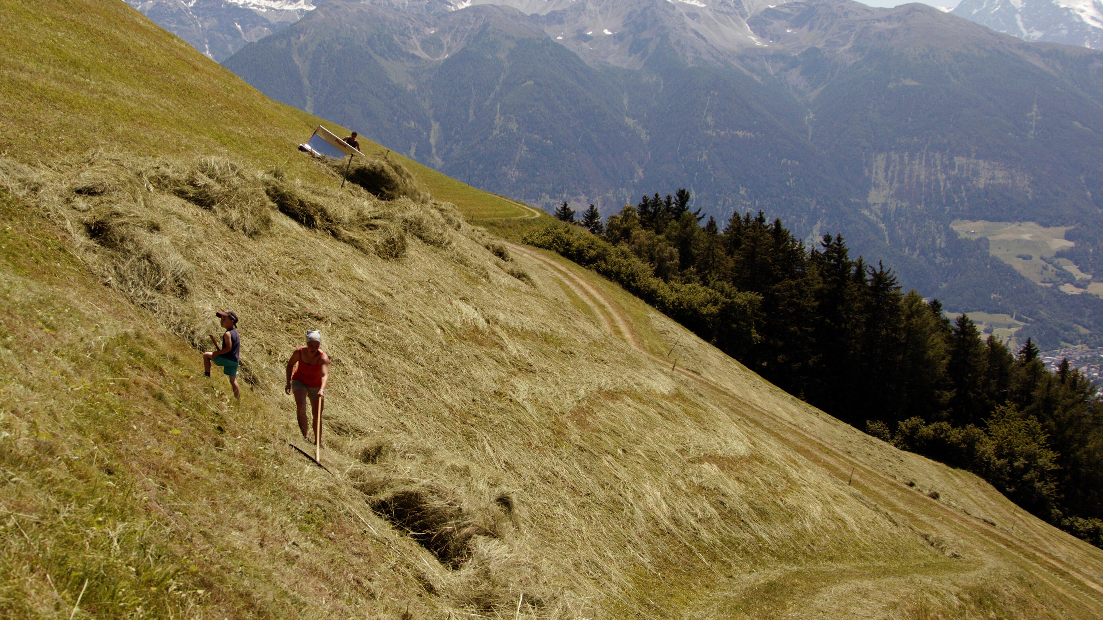 Bergbäuerinnen in Südtirol – Der Weg zum Ziel