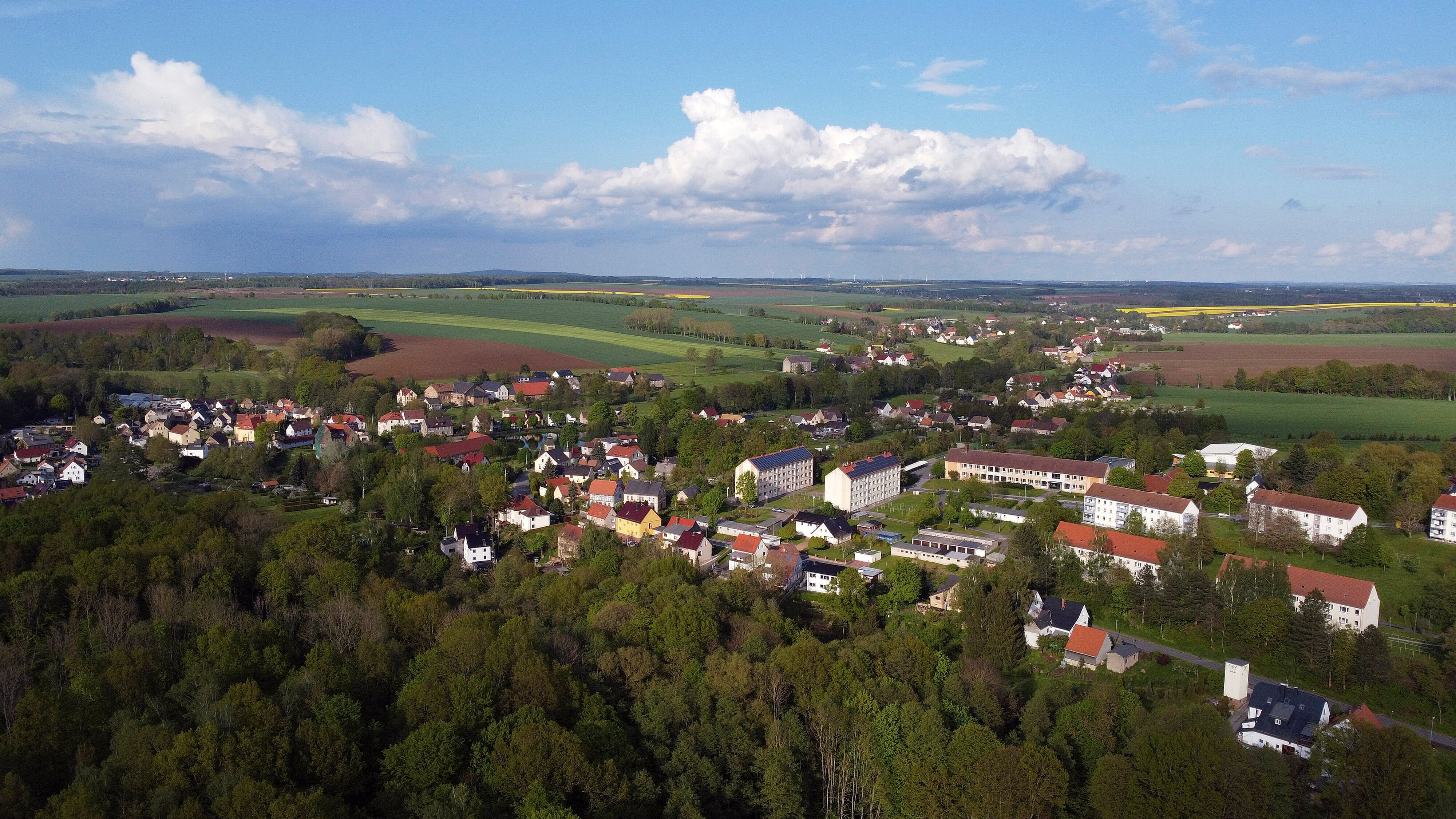 Zimmer frei? Die Baukunst der Spechte