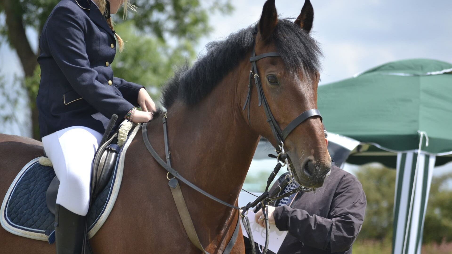 Springreiten: Global Champions Tour