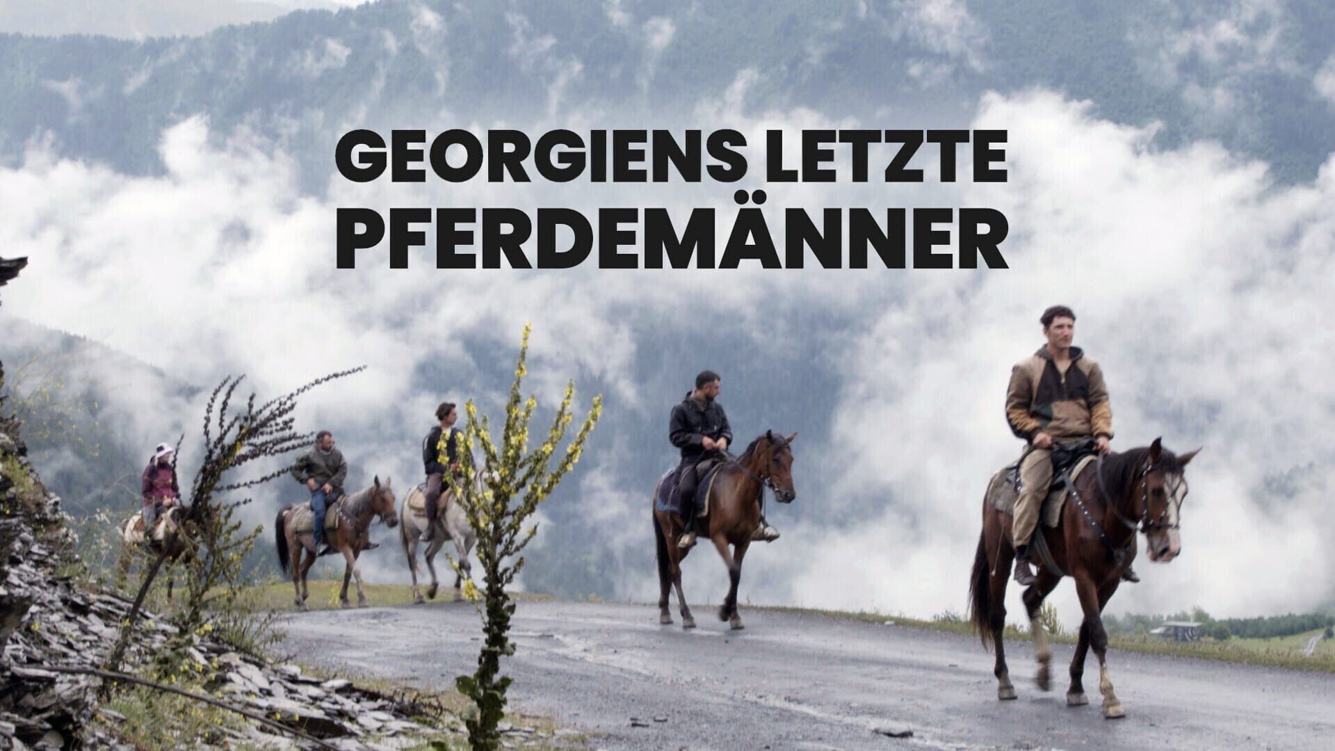 Georgiens letzte Pferdemänner