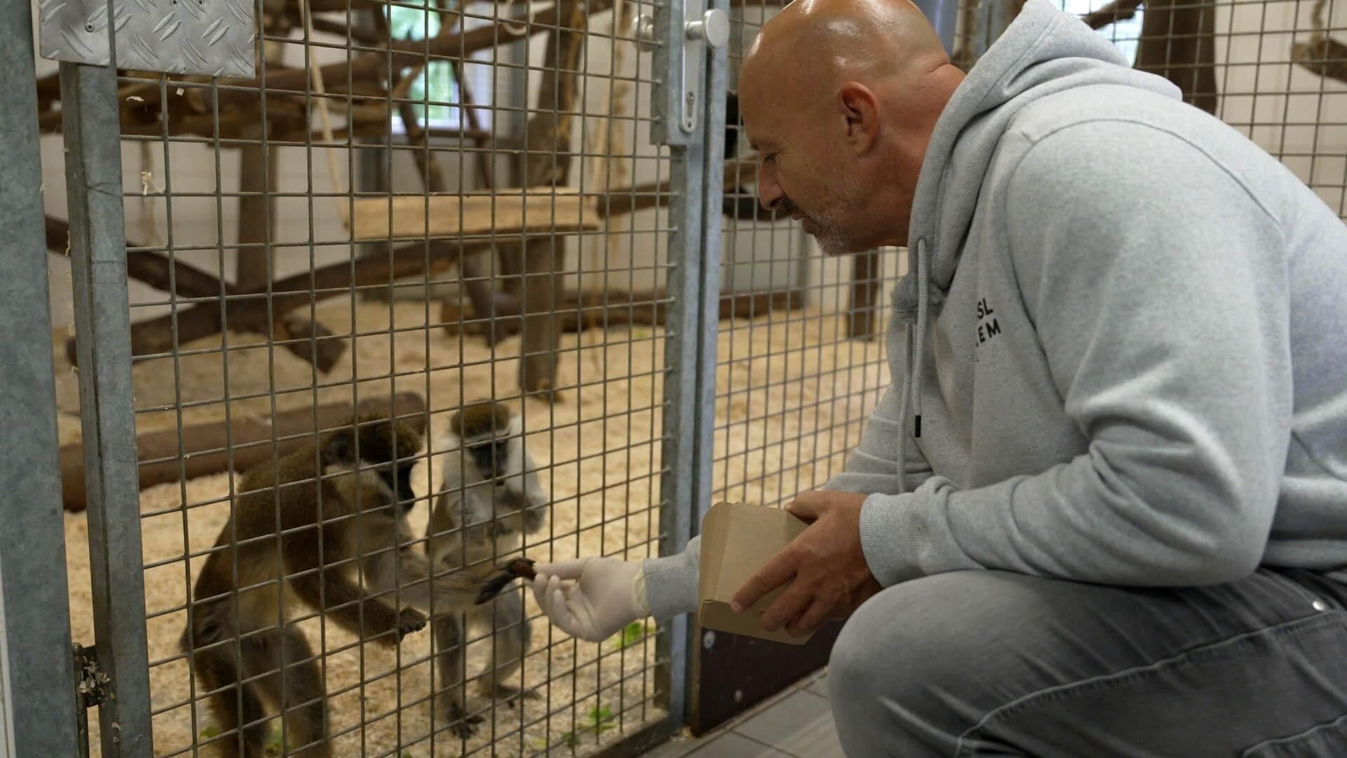 Martin Rütters Tierheimhelden