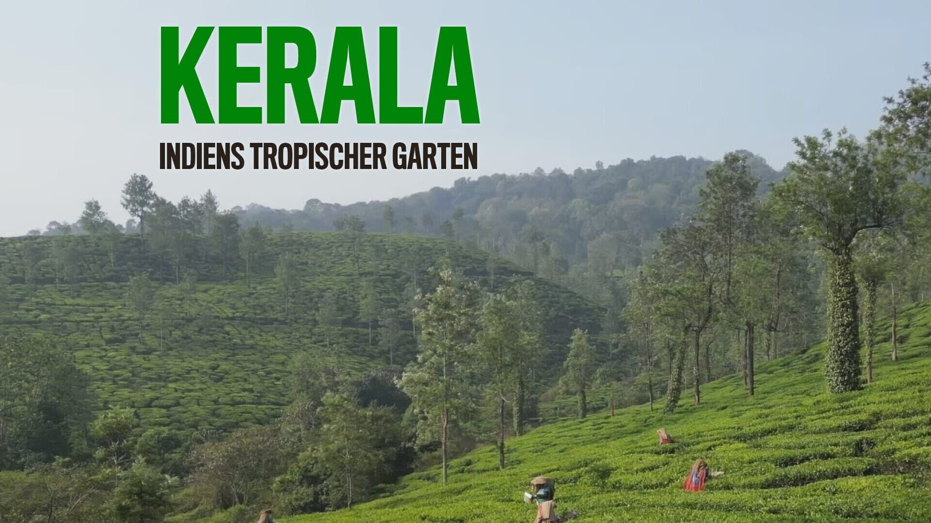 Kerala – Indiens tropischer Garten