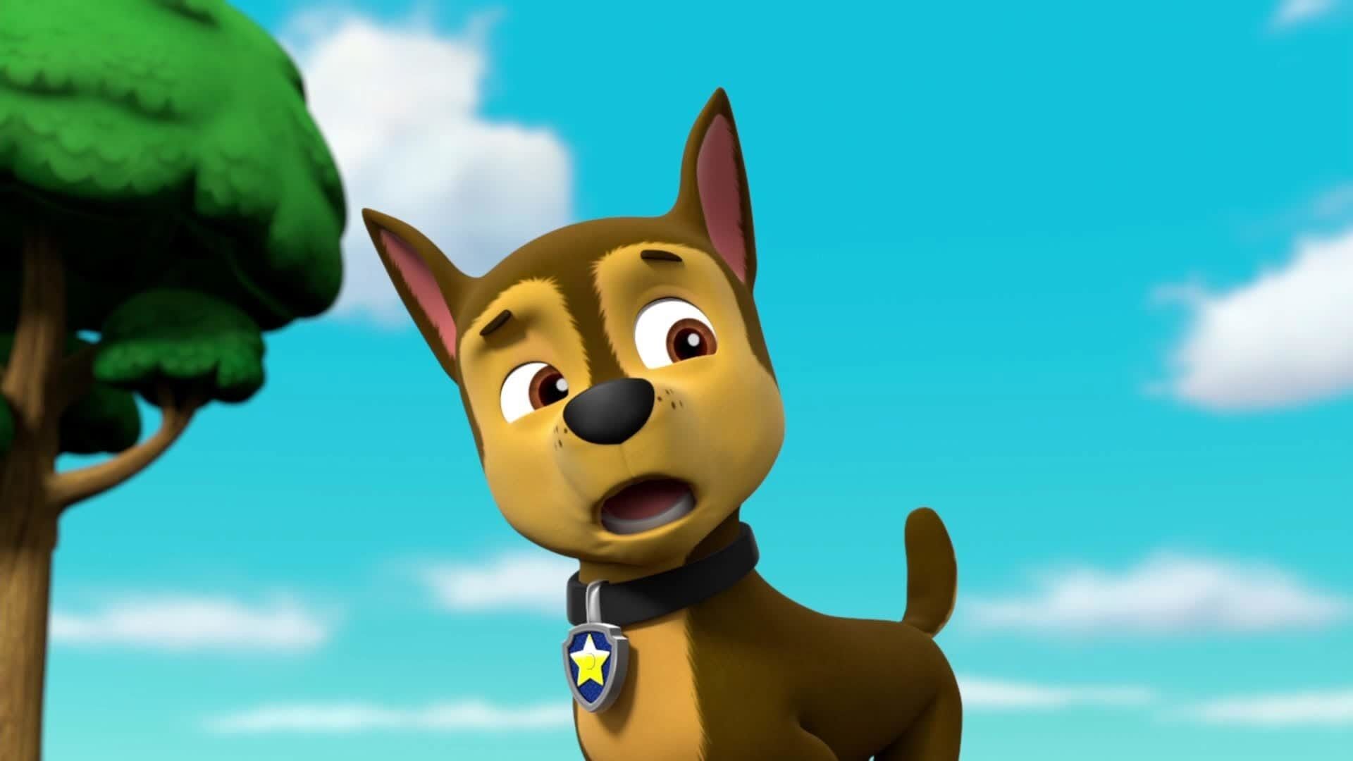 PAW Patrol – Helfer auf vier Pfoten