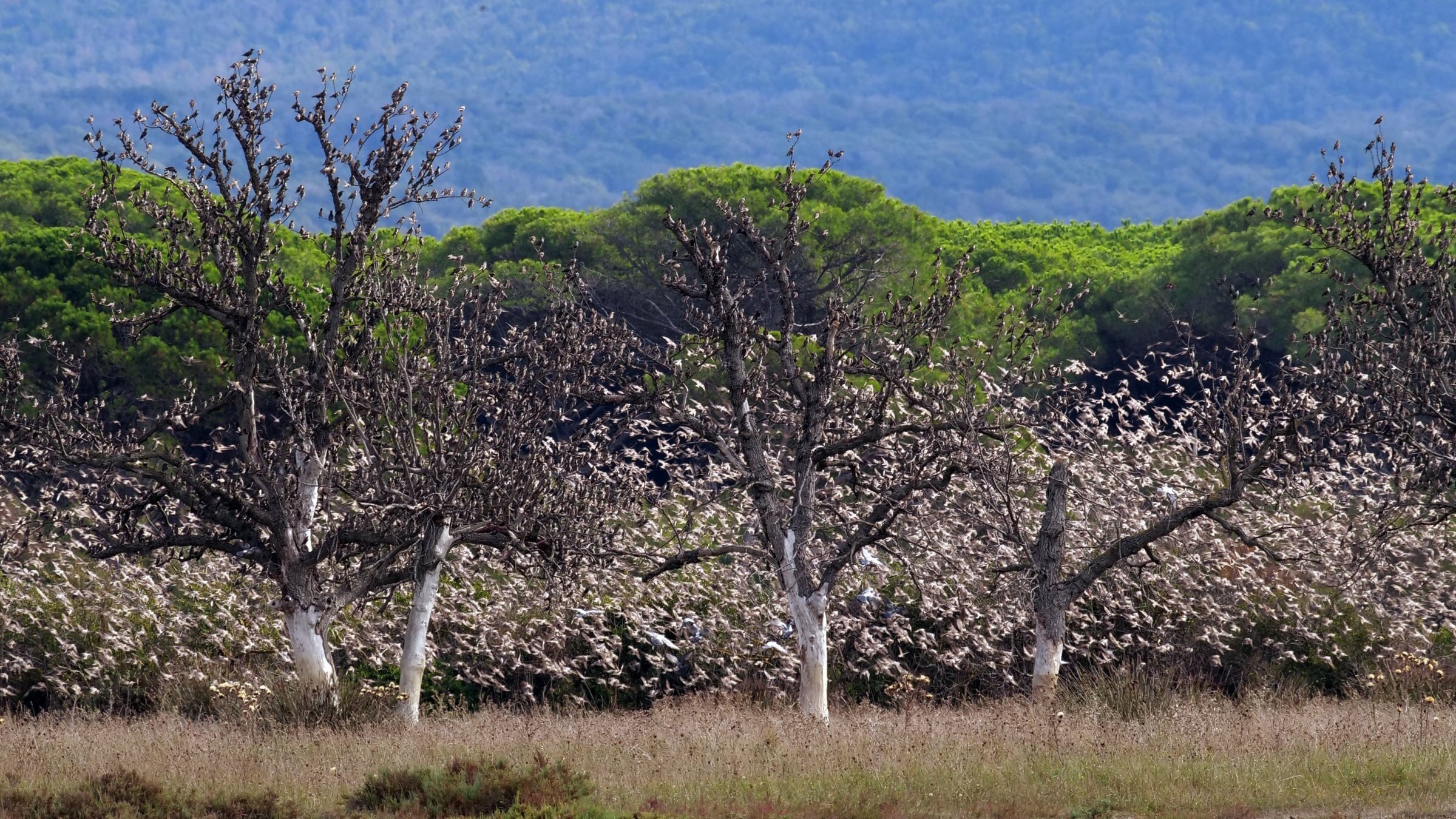 Maremma – Italiens wilde Schönheit