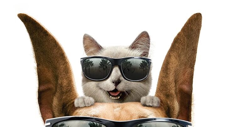 Marmaduke