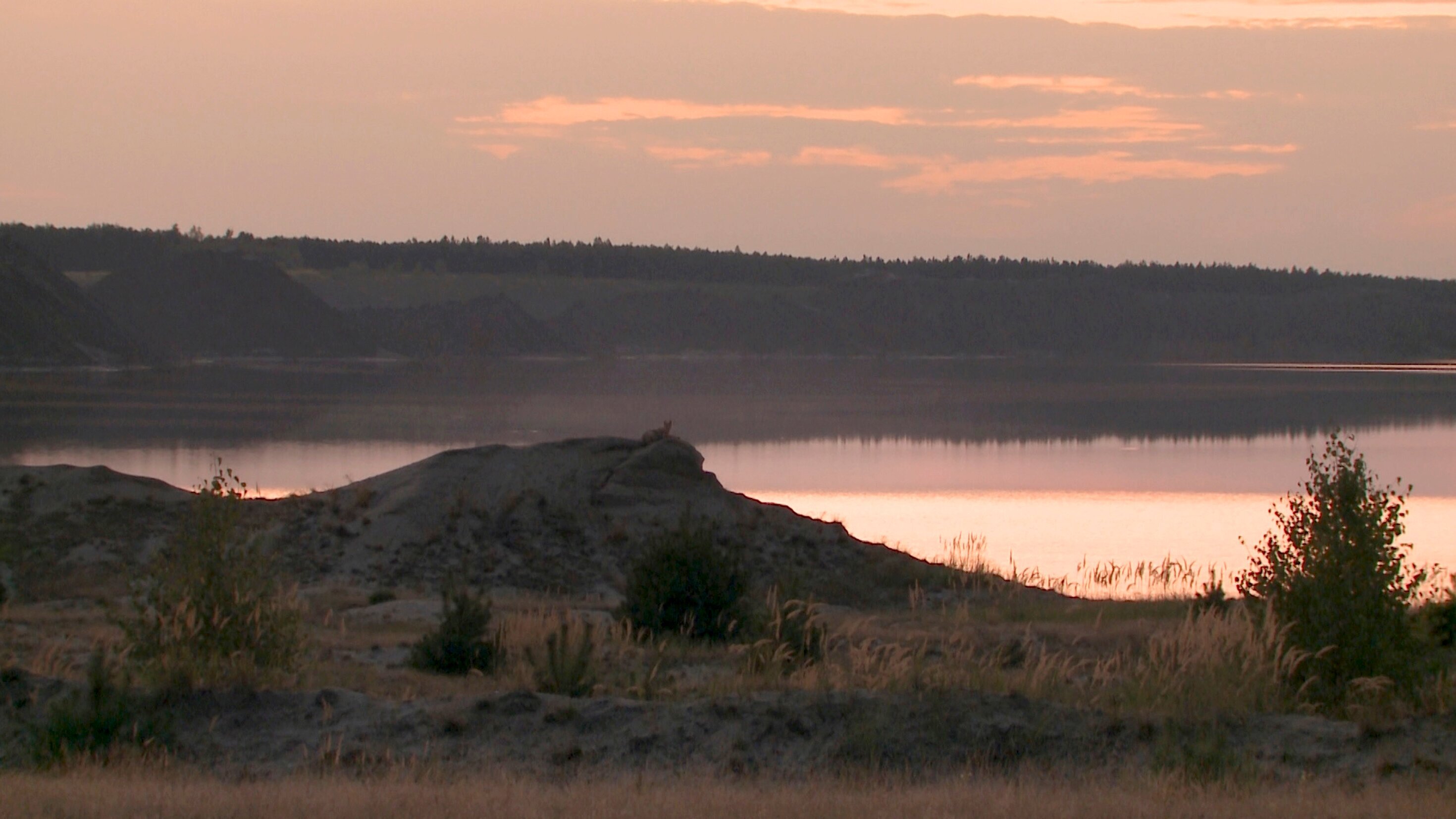 Die Lausitz – Experiment Natur