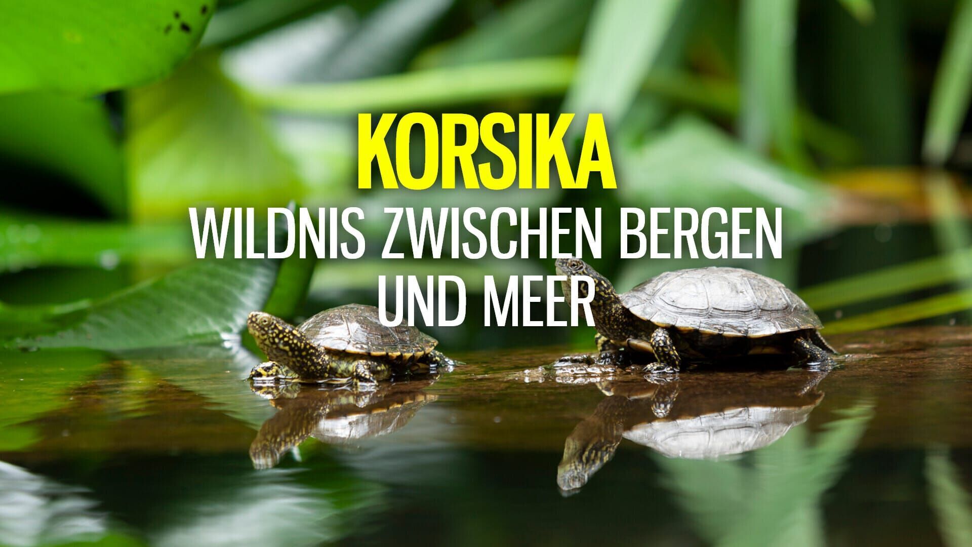 Korsika – Wildnis zwischen Bergen und Meer