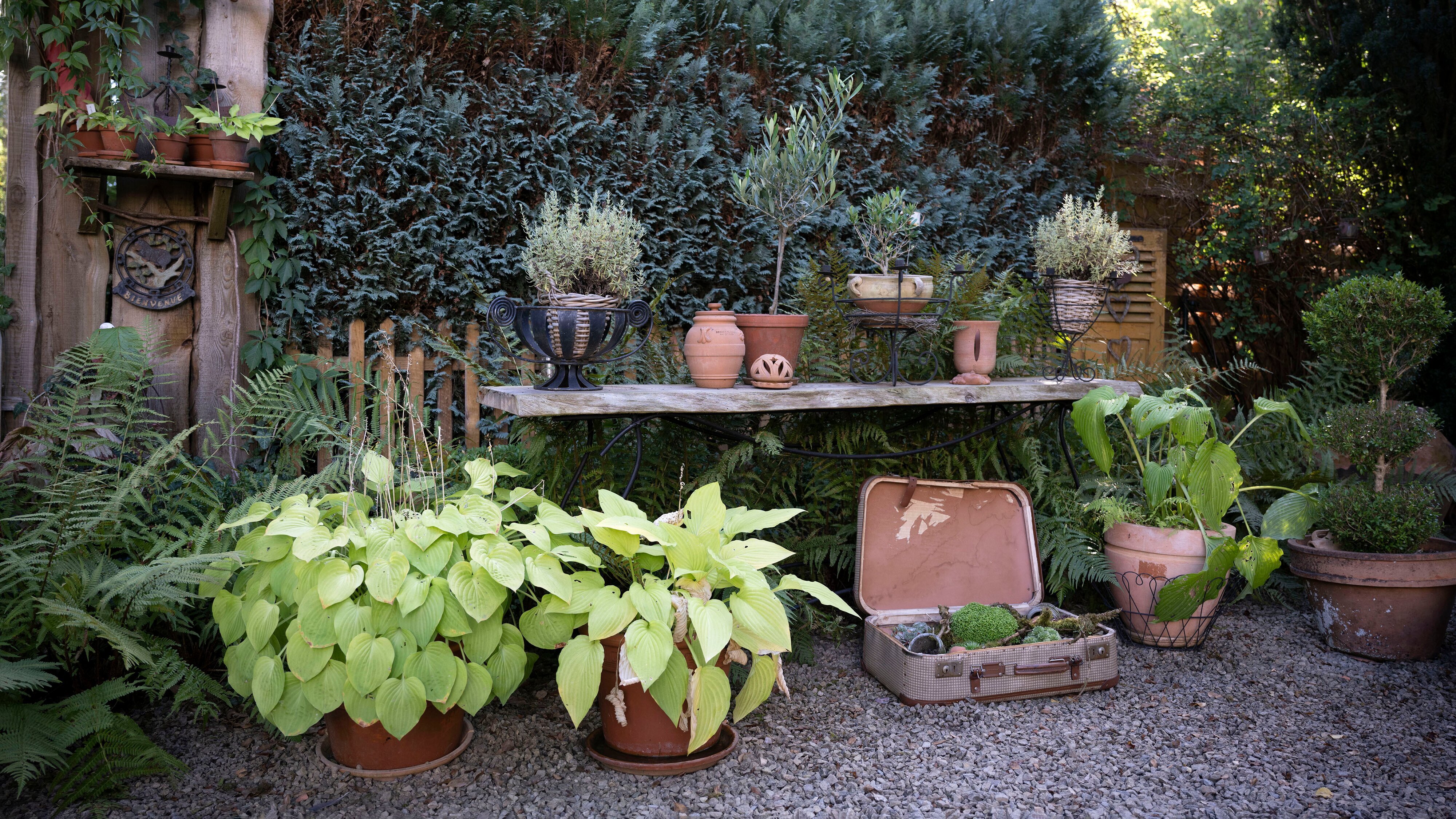 Garten & Lecker