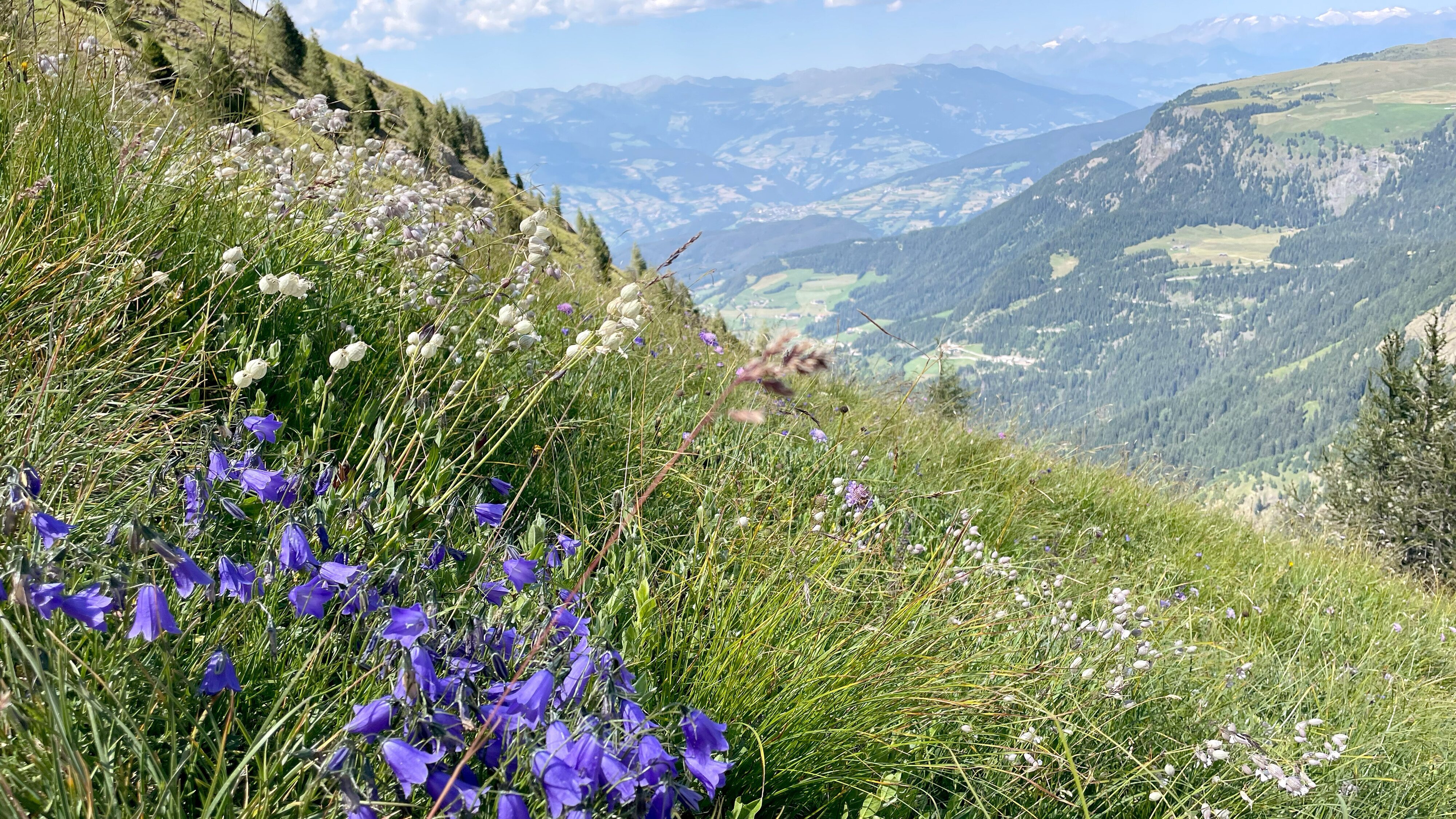 Wunderschön!