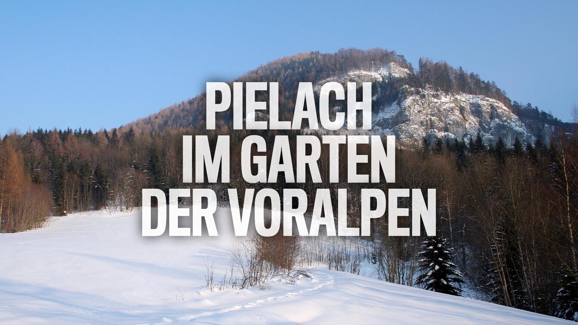 Pielach – Im Garten der Voralpen