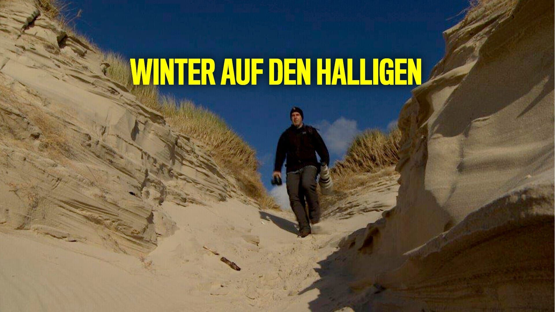 Winter auf den Halligen