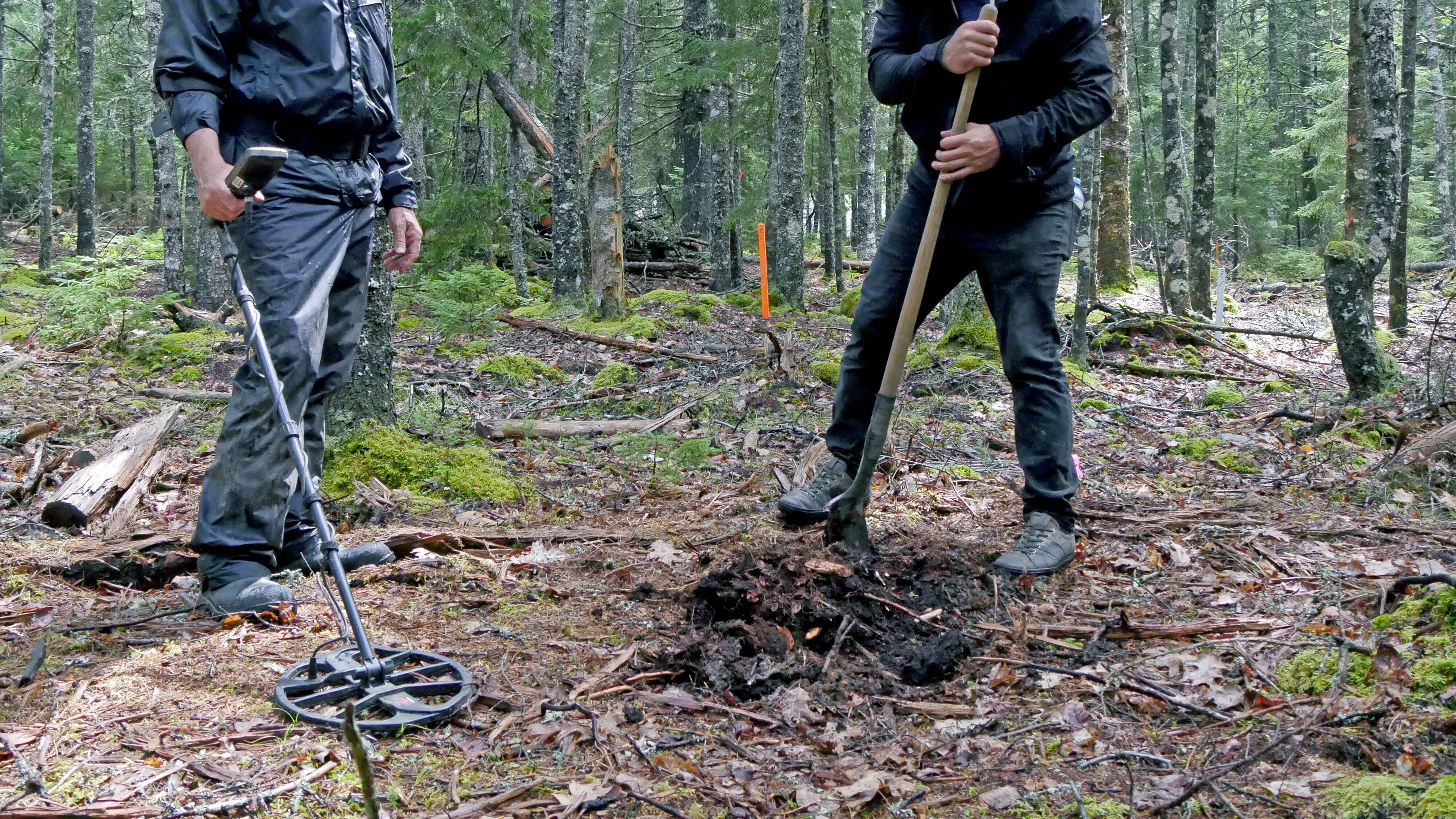 Die Schatzsucher von Oak Island