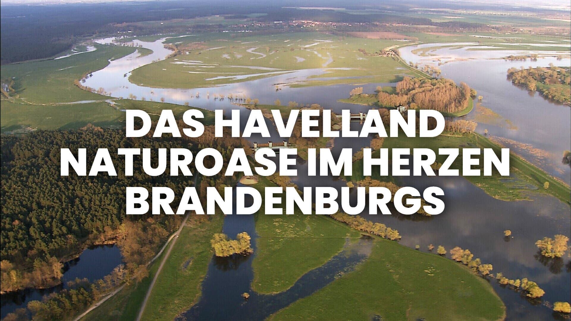 Das Havelland – Naturoase im Herzen Brandenburgs