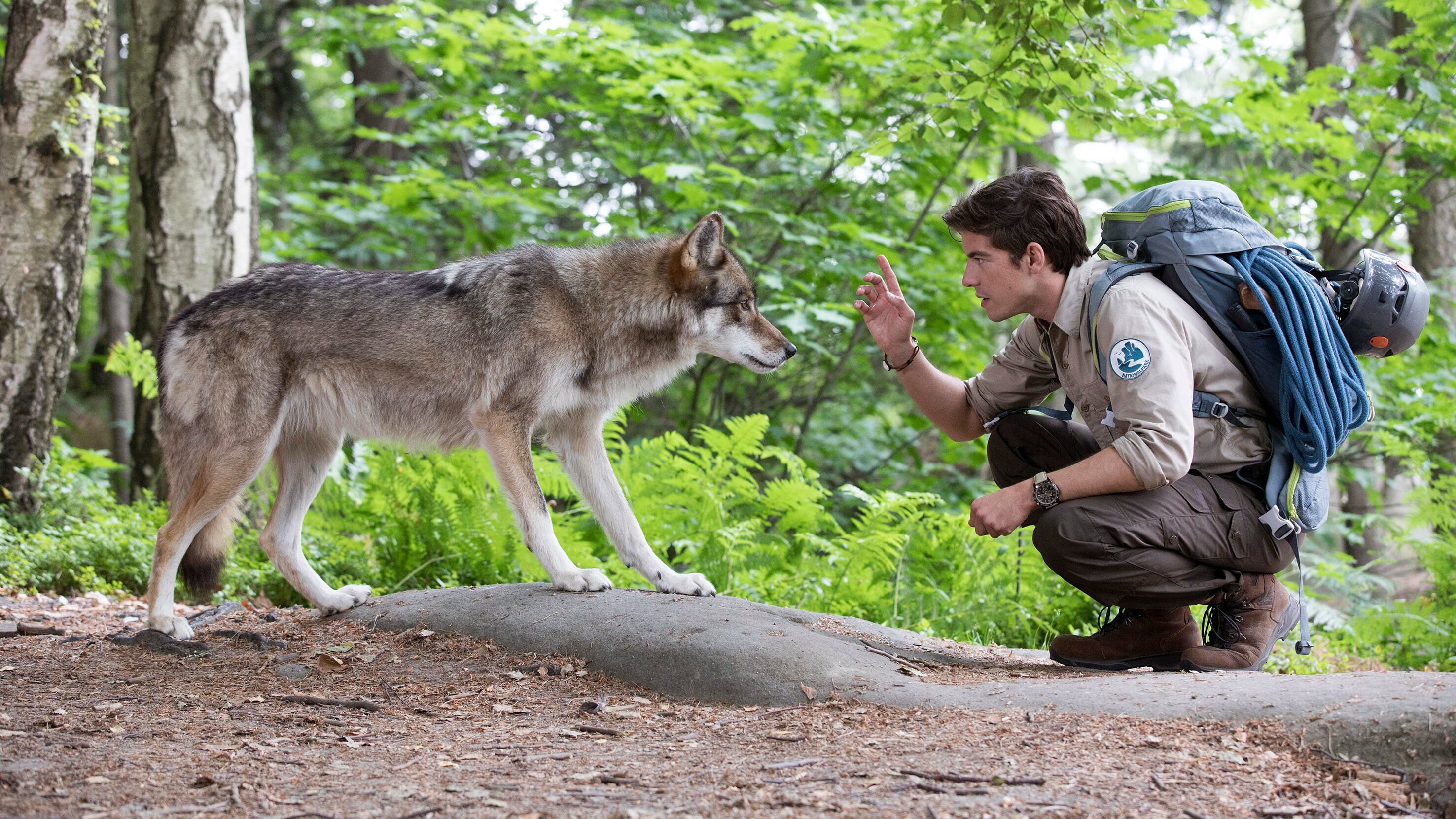 Der Ranger – Paradies Heimat: Wolfsspuren