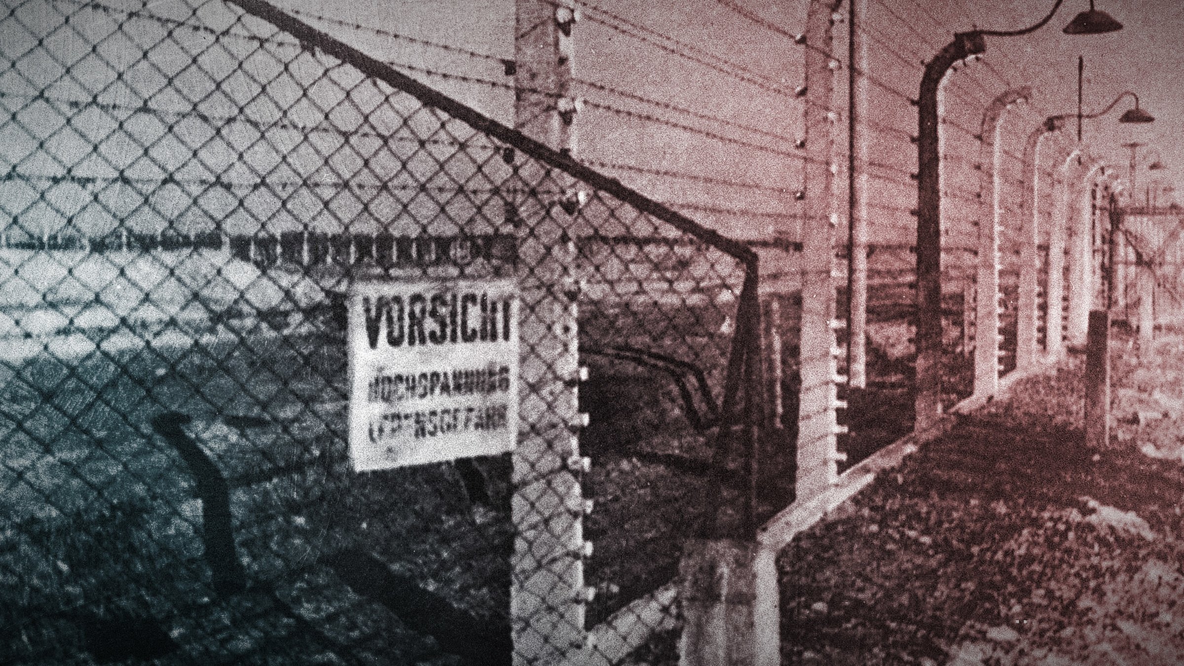 Krieg und Holocaust – Der deutsche Abgrund