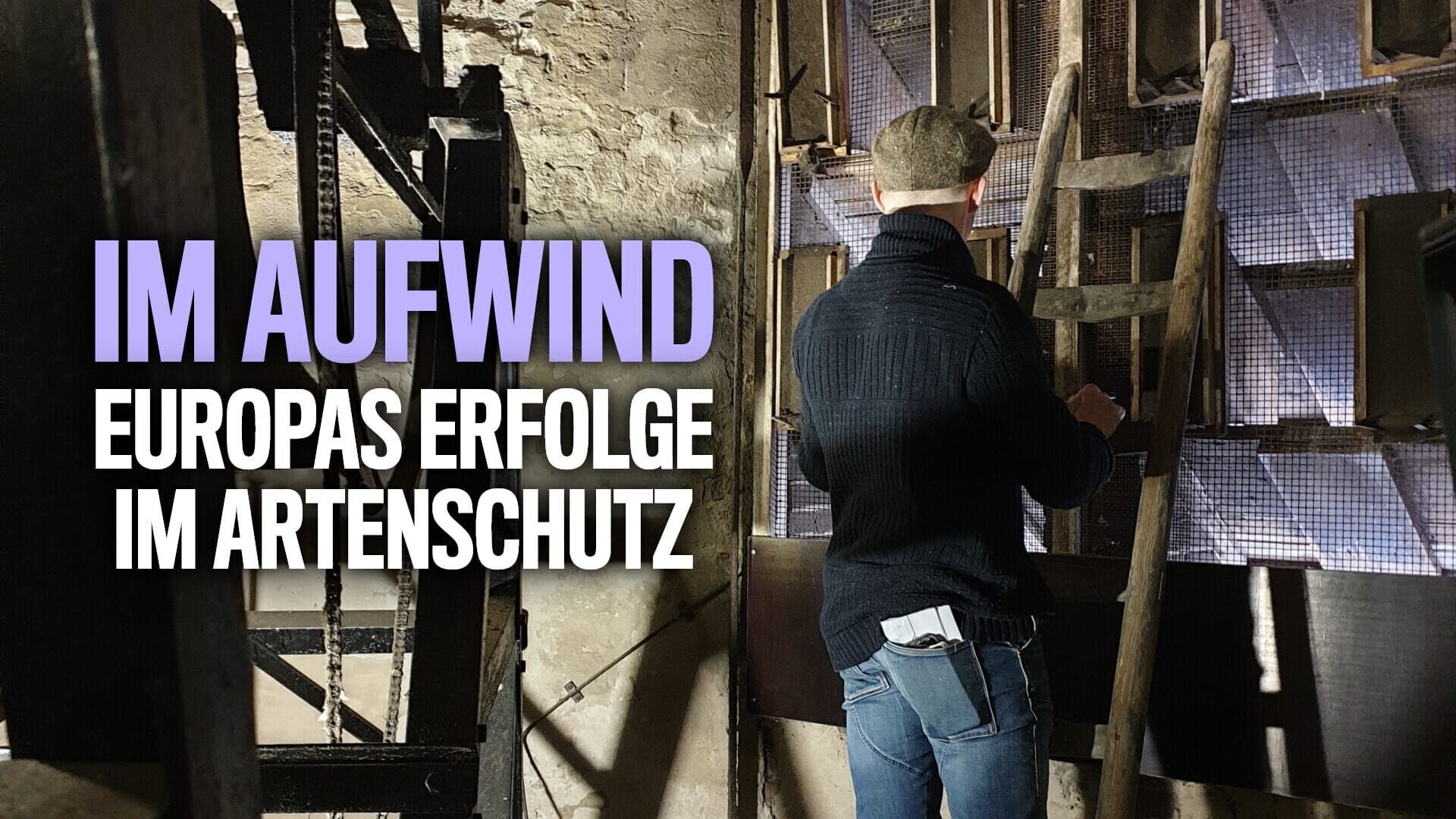 Im Aufwind – Europas Erfolge im Artenschutz