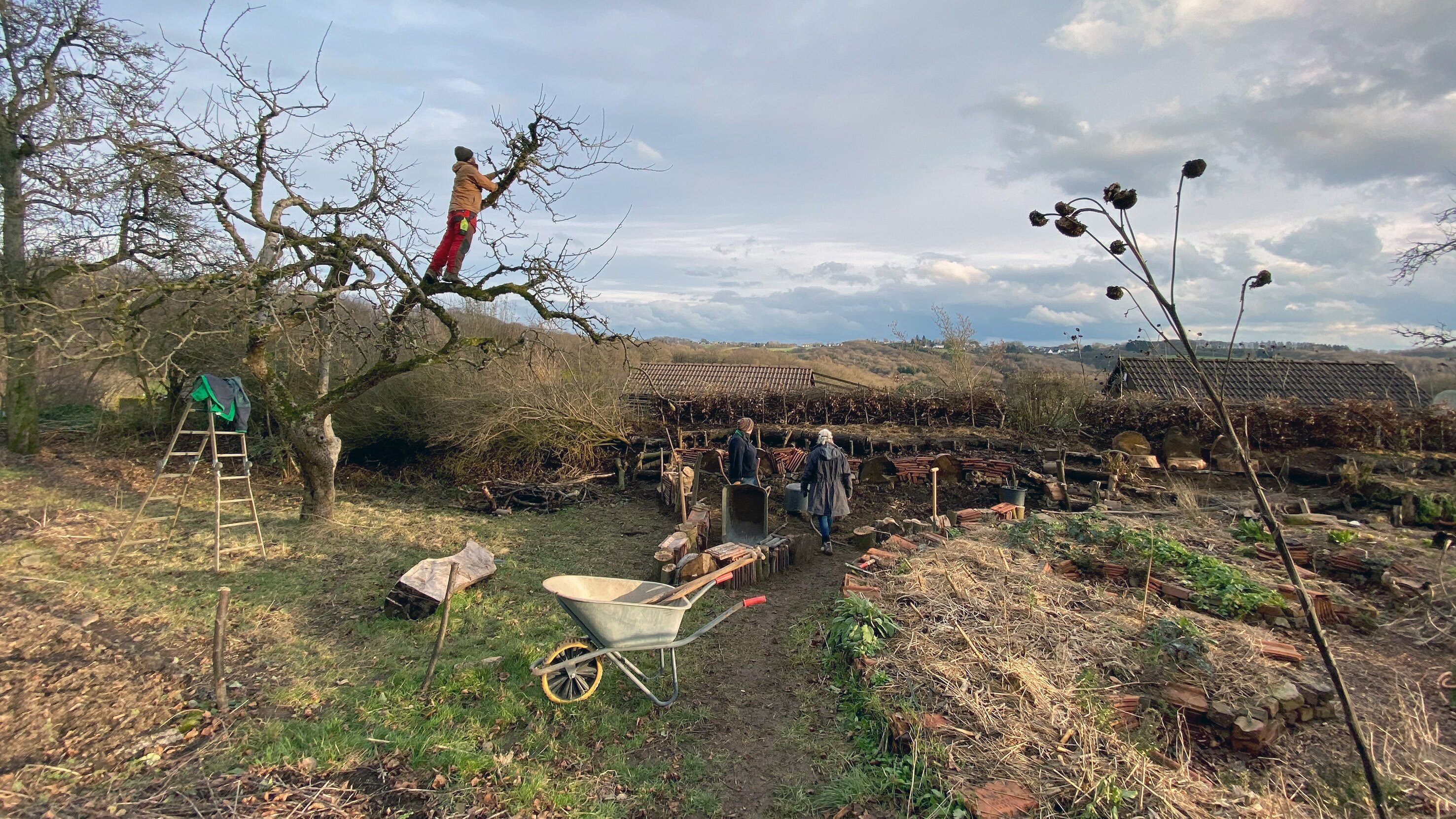 Ein Tag im Wintergarten