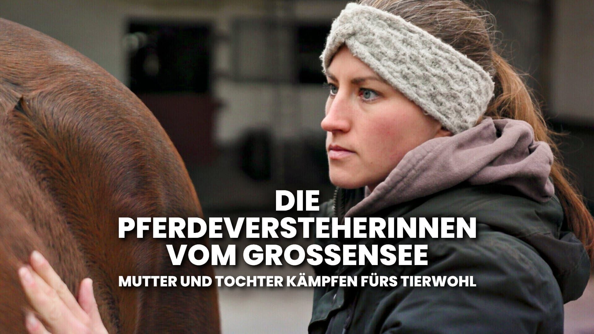 Die Pferdeversteherinnen vom Großensee