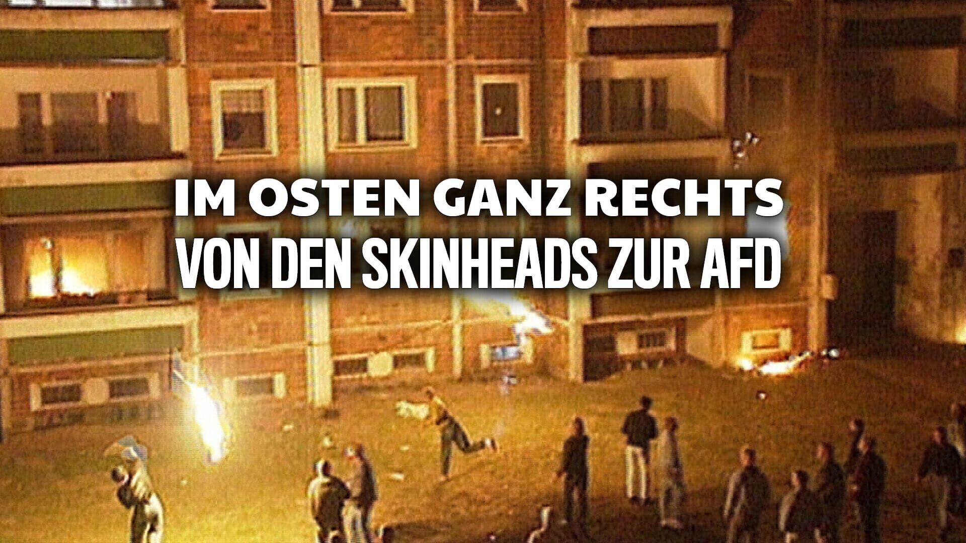 Im Osten ganz rechts – Von den Skinheads zur AfD