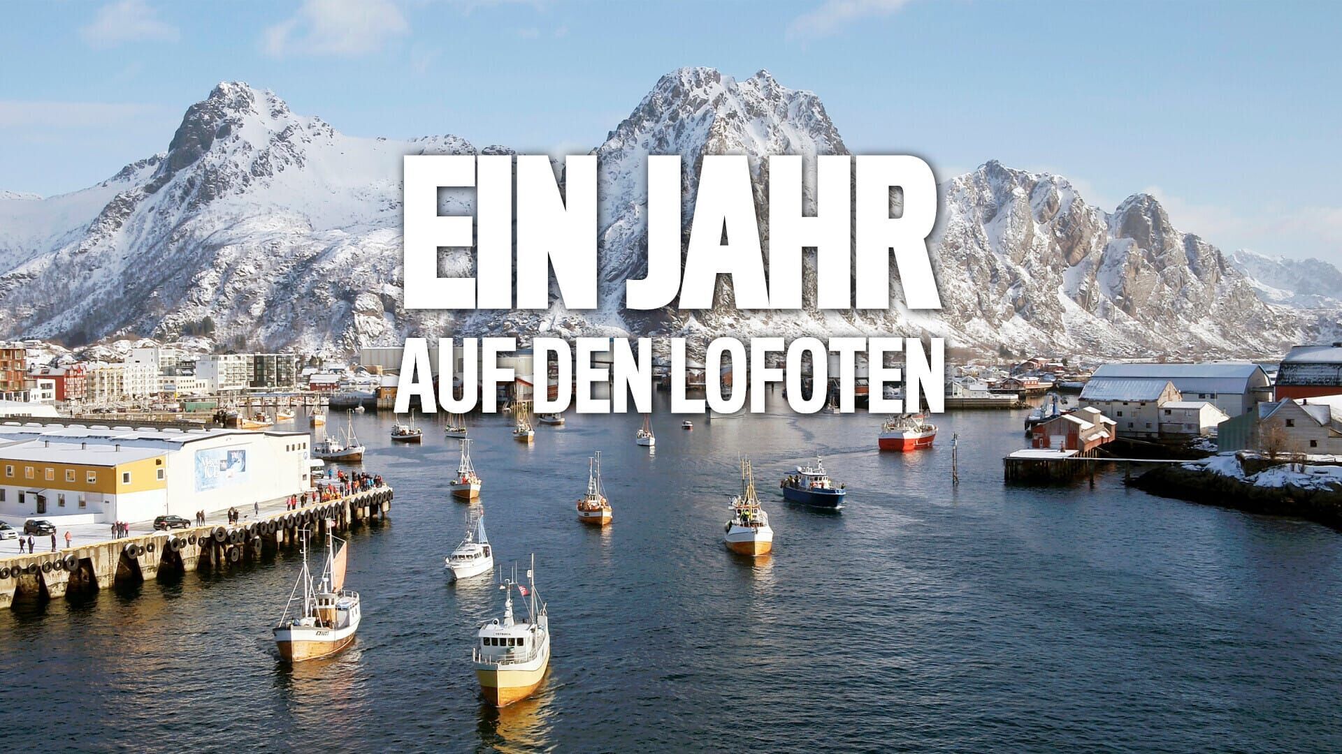 Ein Jahr auf den Lofoten