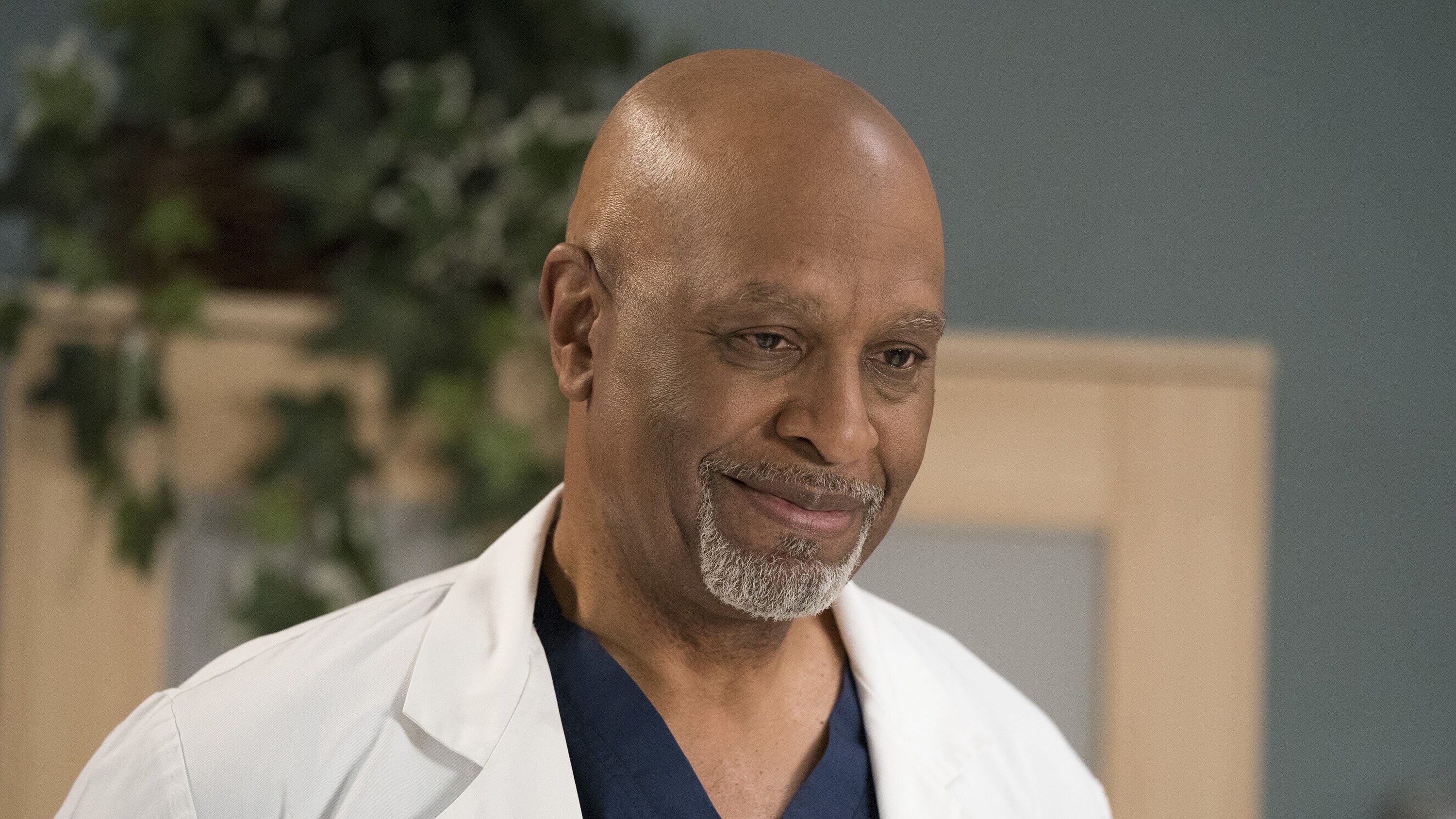 Grey's Anatomy – Die jungen Ärzte