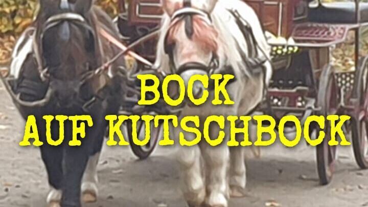 Bock auf Kutschbock