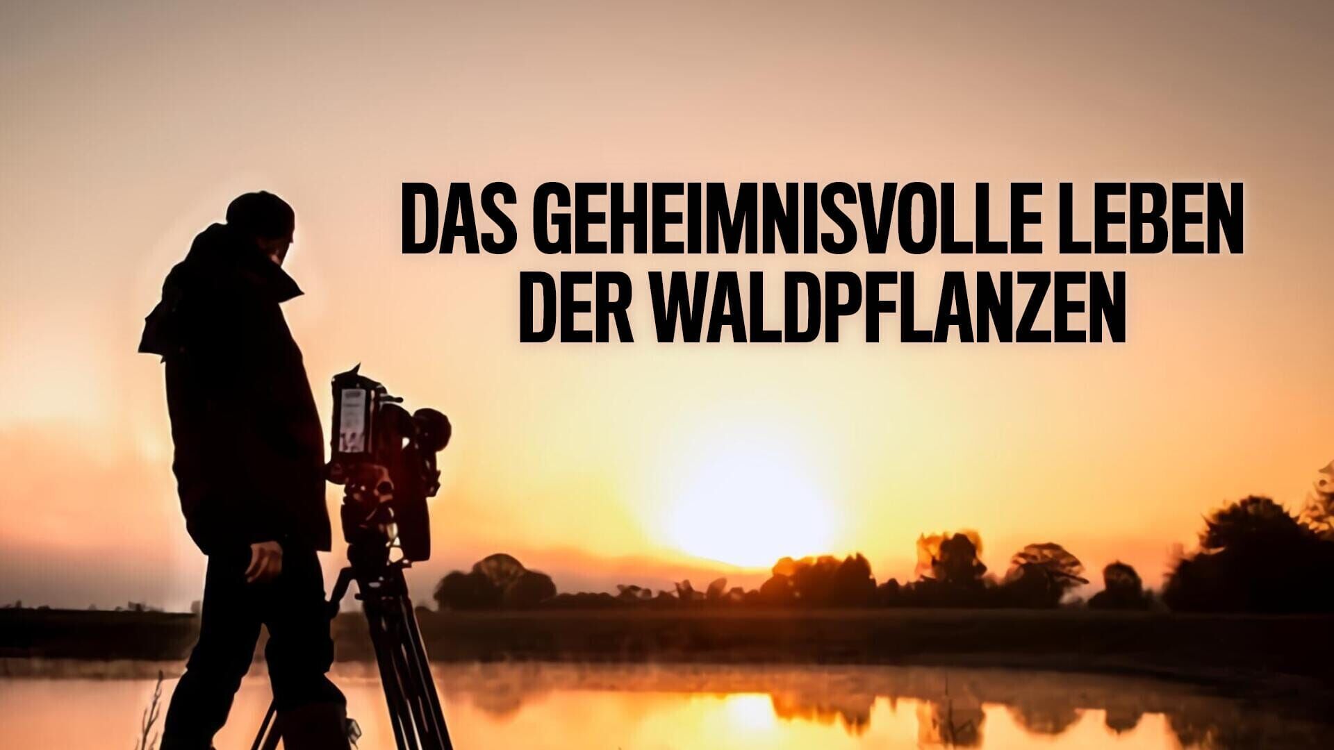 Natur nah