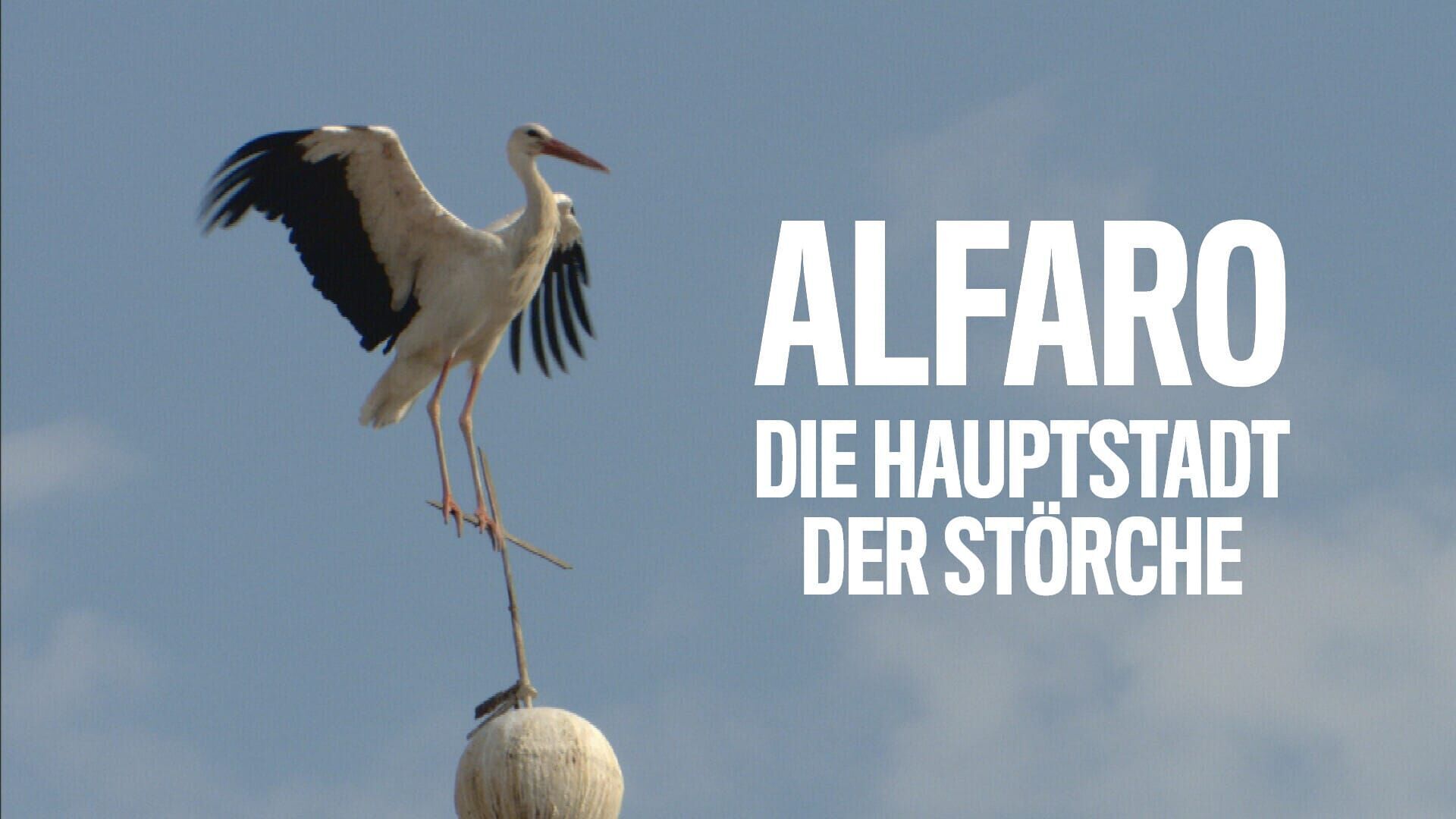 Alfaro – Die Hauptstadt der Störche