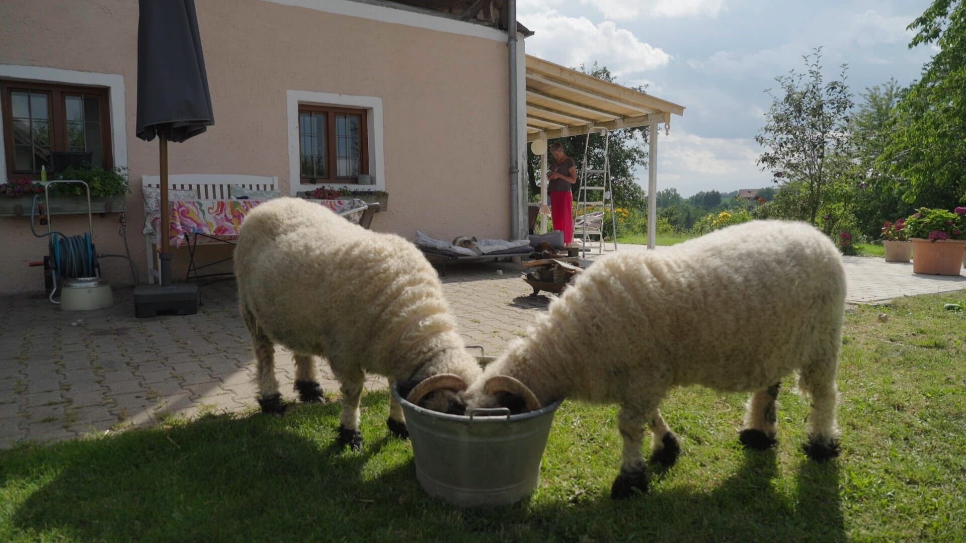 Plötzlich gesund?