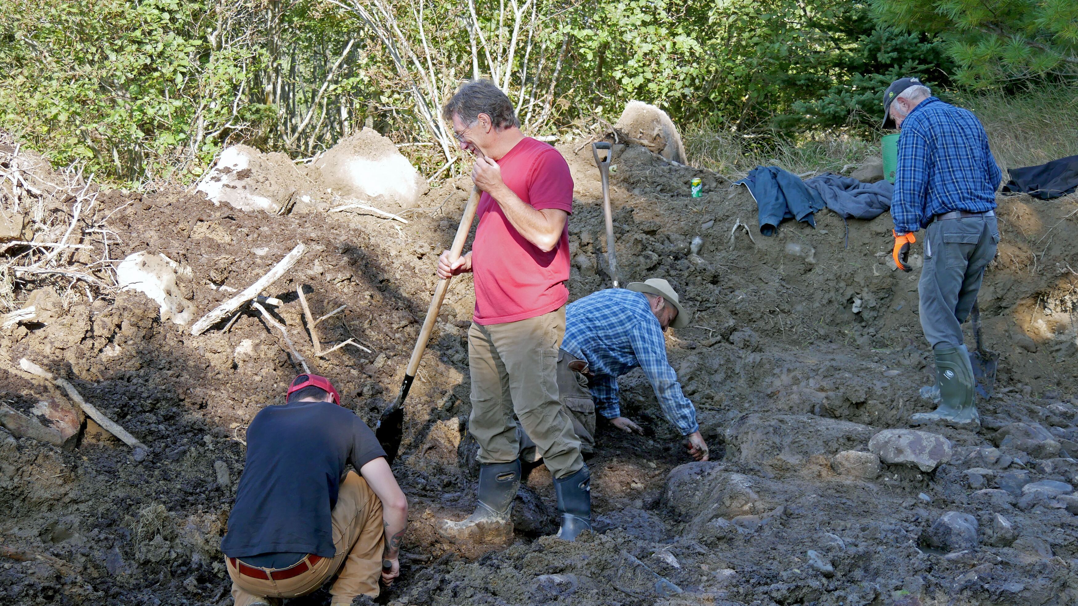 Die Schatzsucher von Oak Island