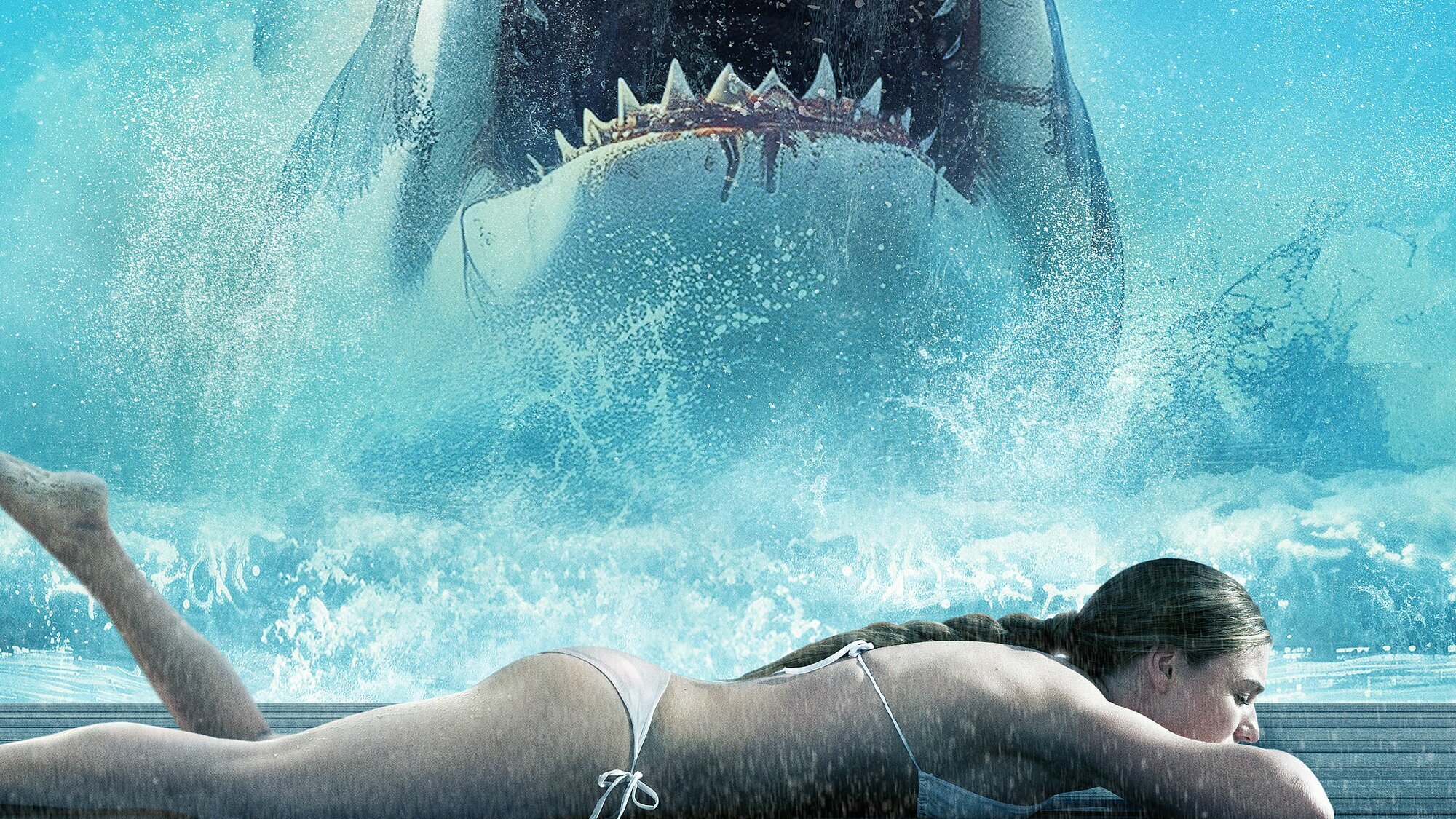 Shark Warning