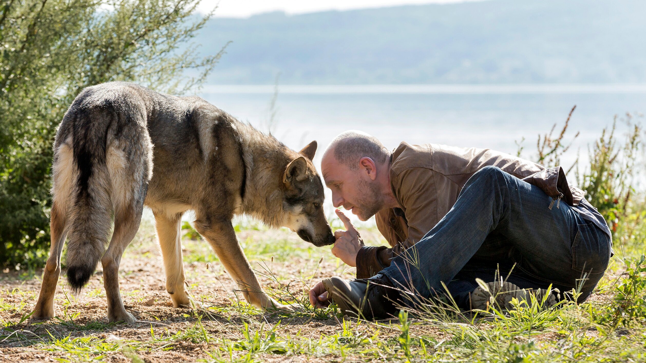 Wolfsland – Ewig Dein