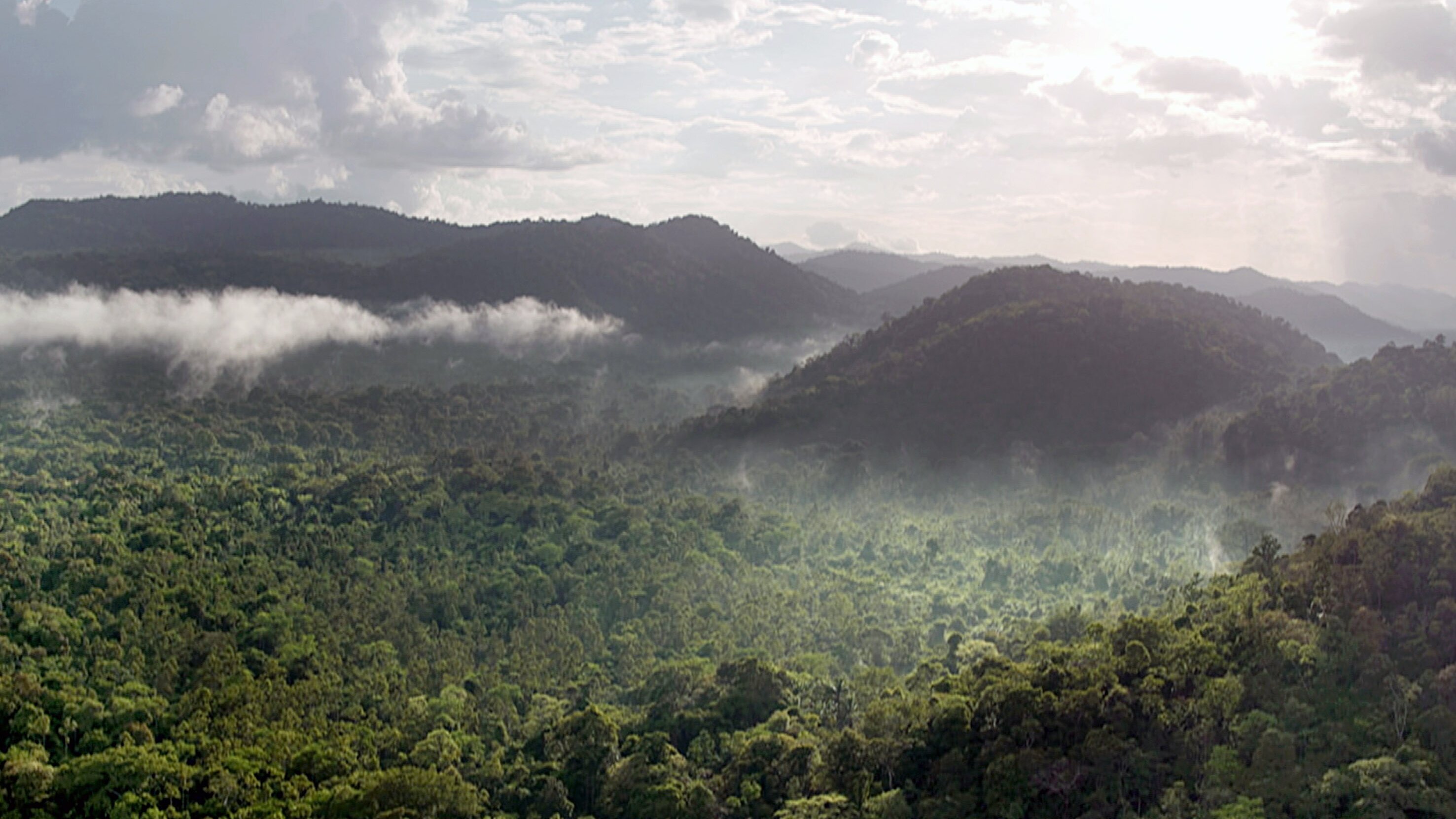 Guyana – Der Weg des Jaguars