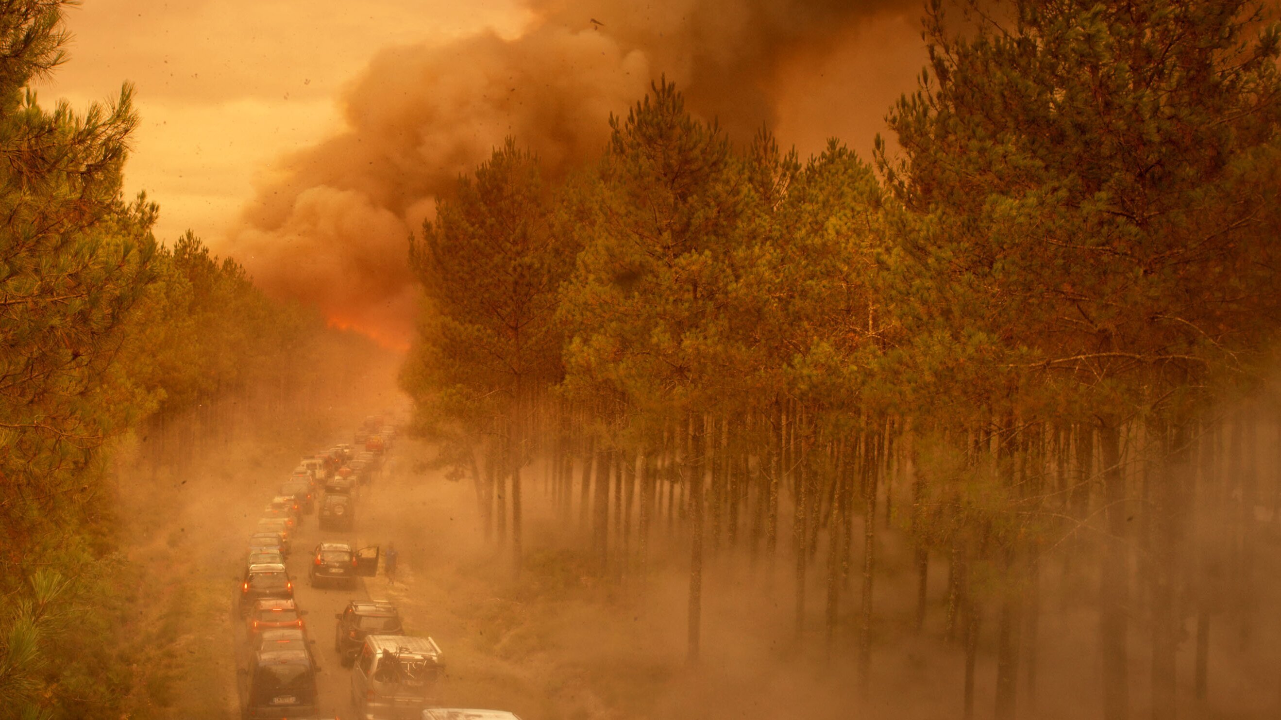 The Blaze – Flucht aus den Flammen