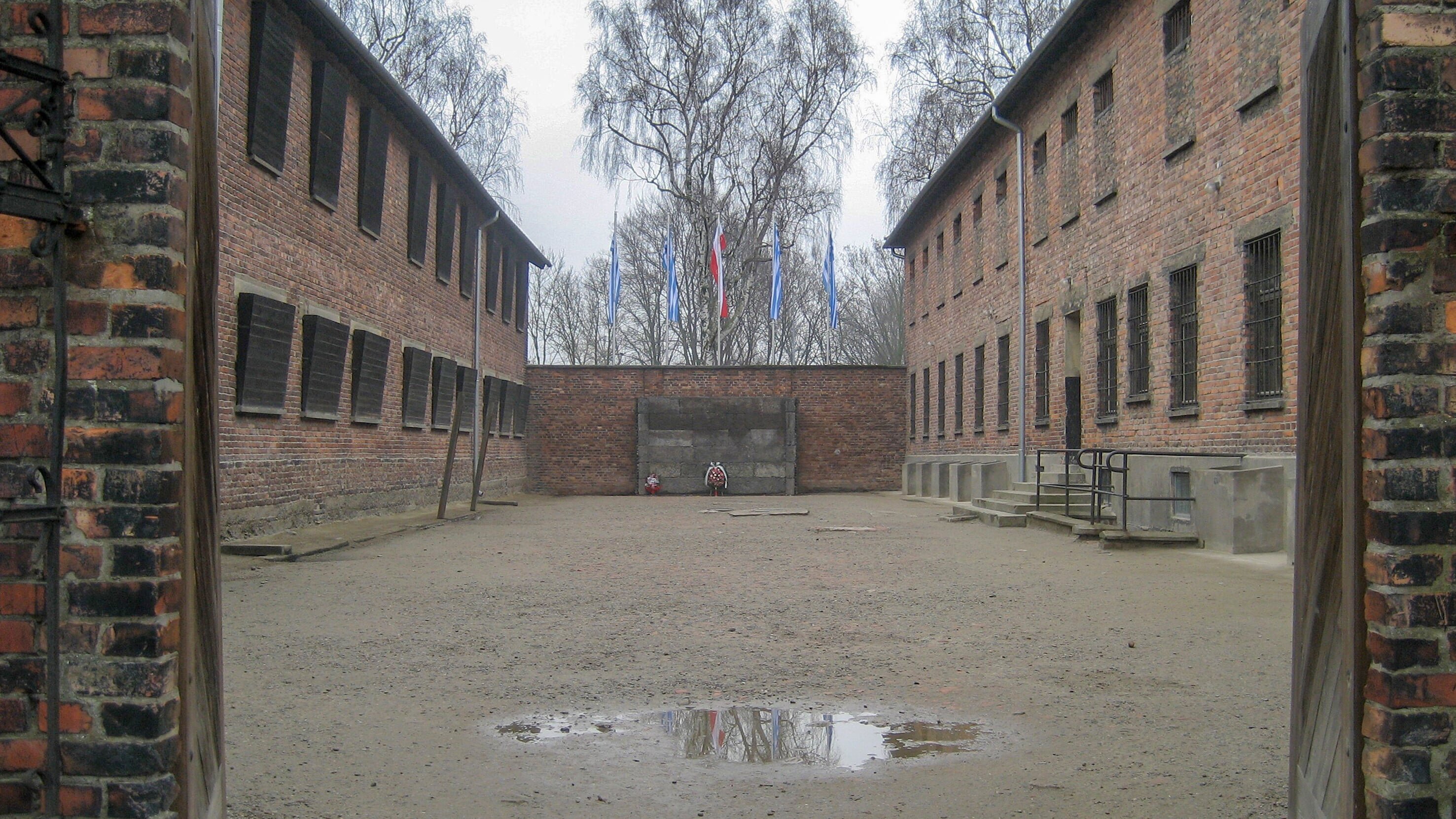Medizinische Experimente in Auschwitz