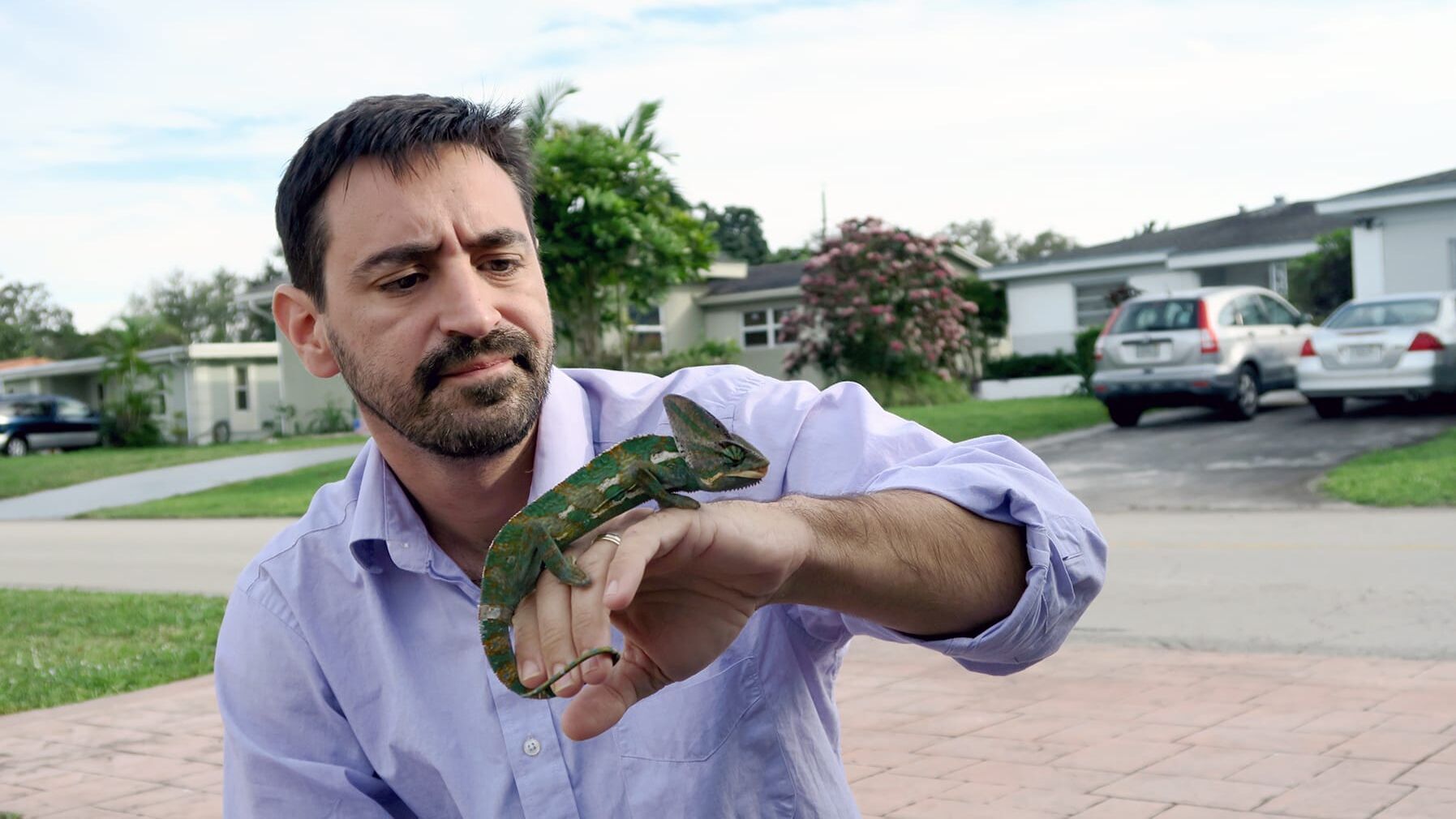 Pythons: Invasion in Florida
