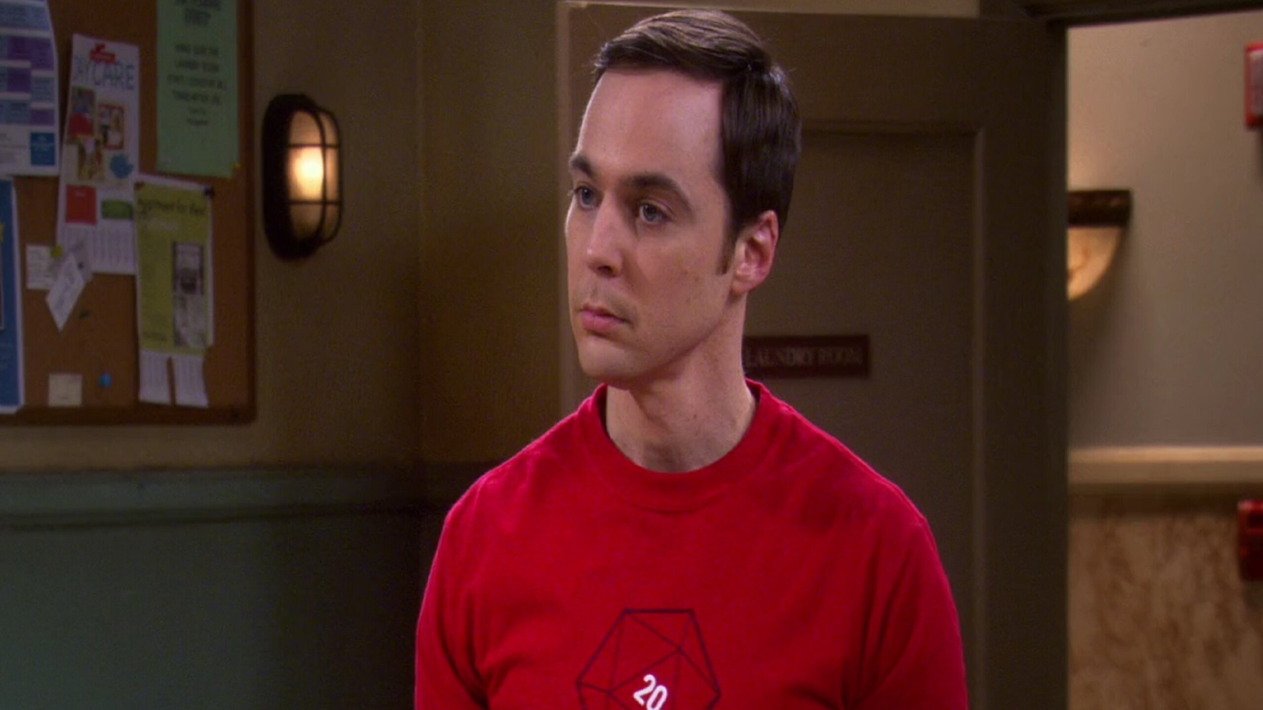 The Big Bang Theory