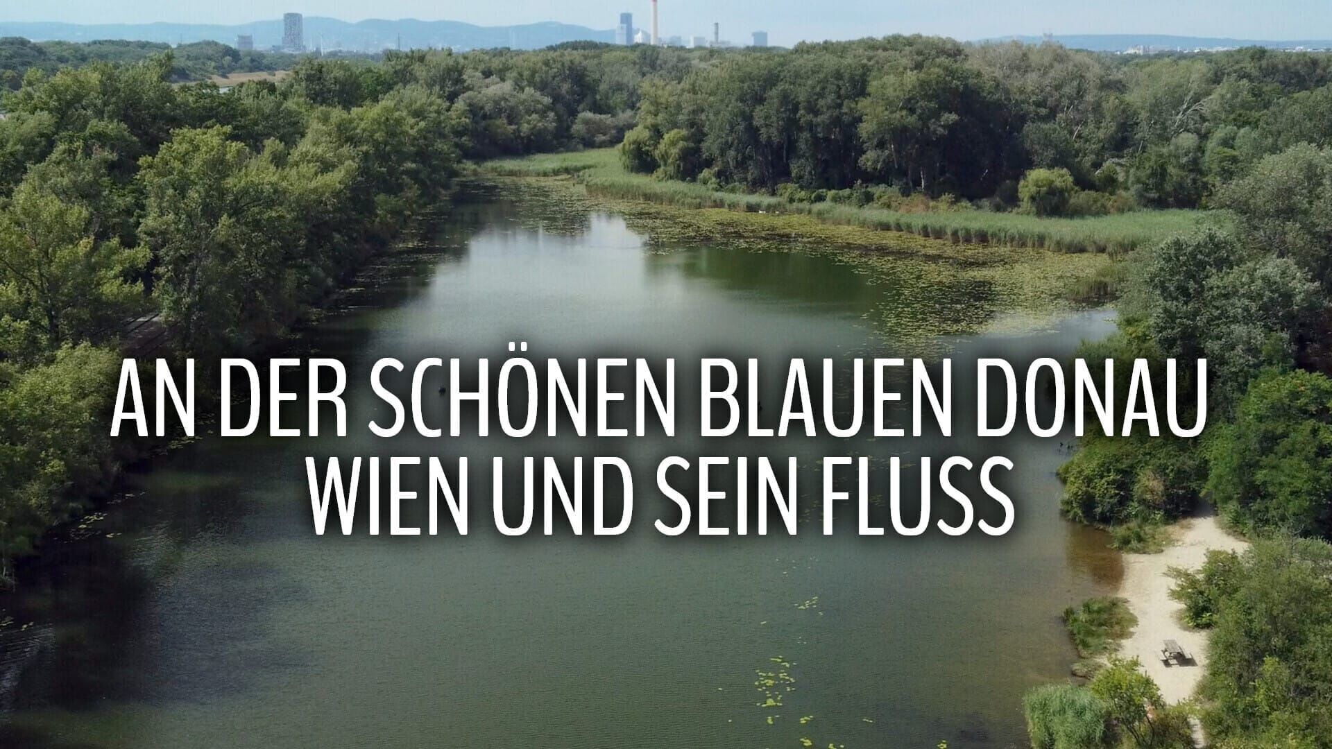 An der schönen blauen Donau – Wien und sein Fluss