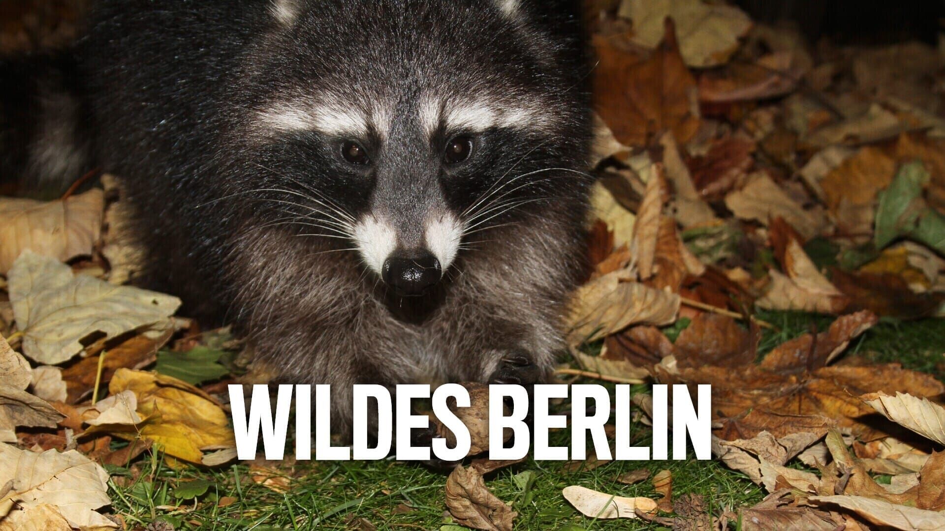 Wildes Berlin