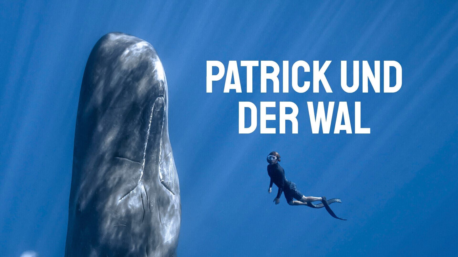 Patrick and the Whale