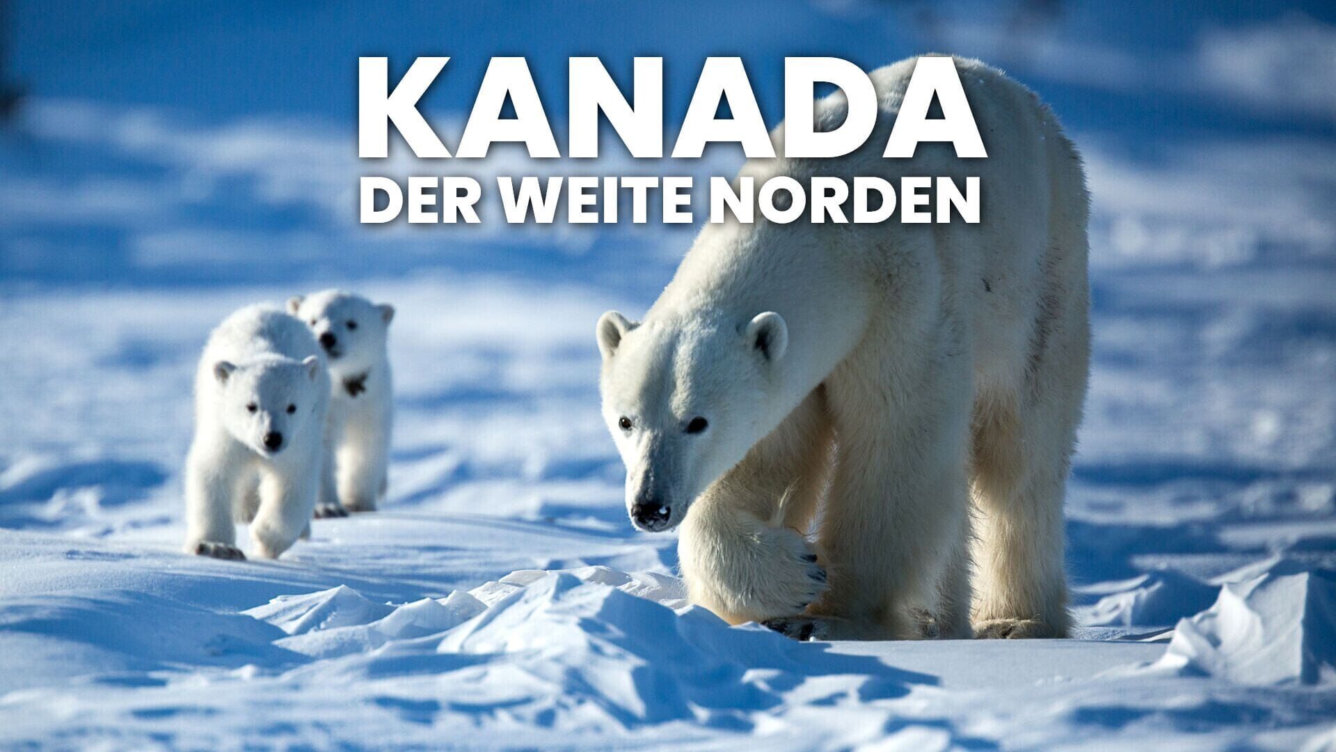 Kanada – Der weite Norden