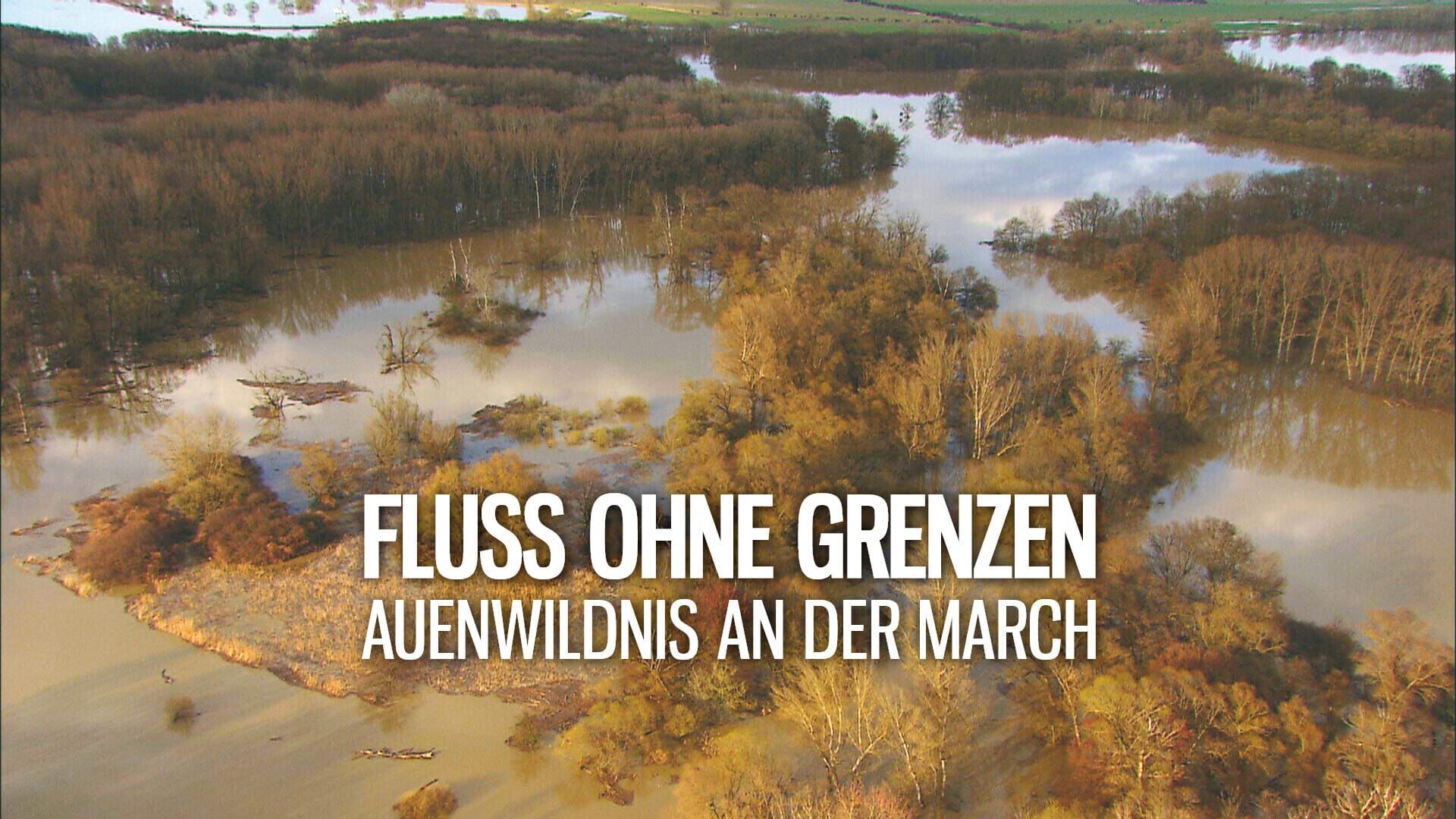 Fluss ohne Grenzen – Auenwildnis an der March