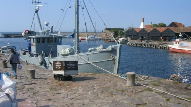 Danske Vidundere